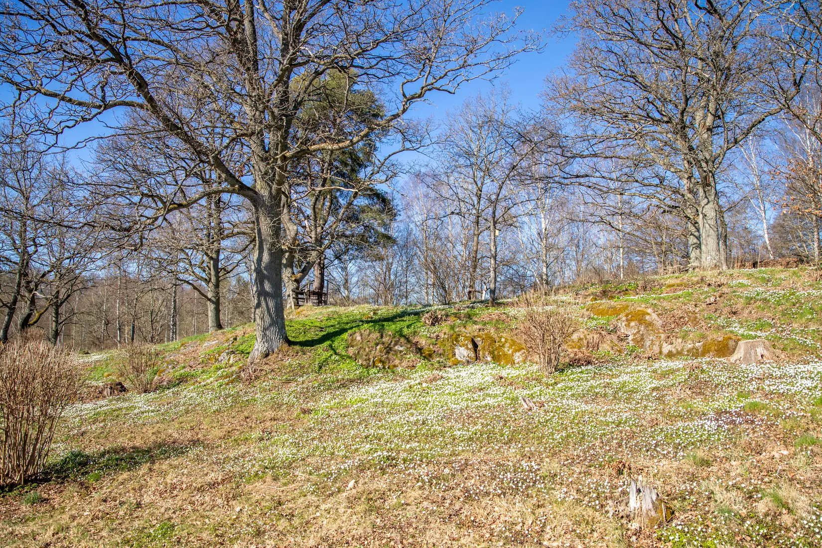 Villa, Radhus, Prostkvarnsgatan 66, Sveahäll, Jönköping