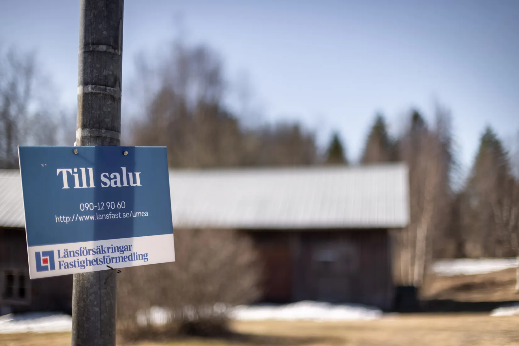 Fritidshus, Vänjaurträsk 52, Lycksele