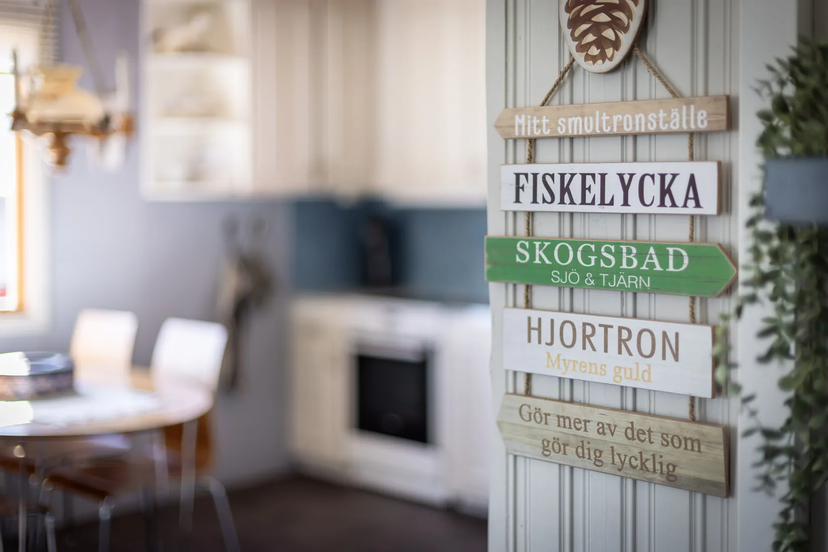 Fritidshus, Vänjaurträsk 52, Lycksele