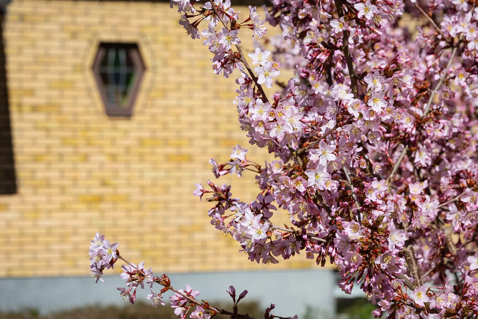 Villa, Långasjövägen 21, Backaryd, Ronneby