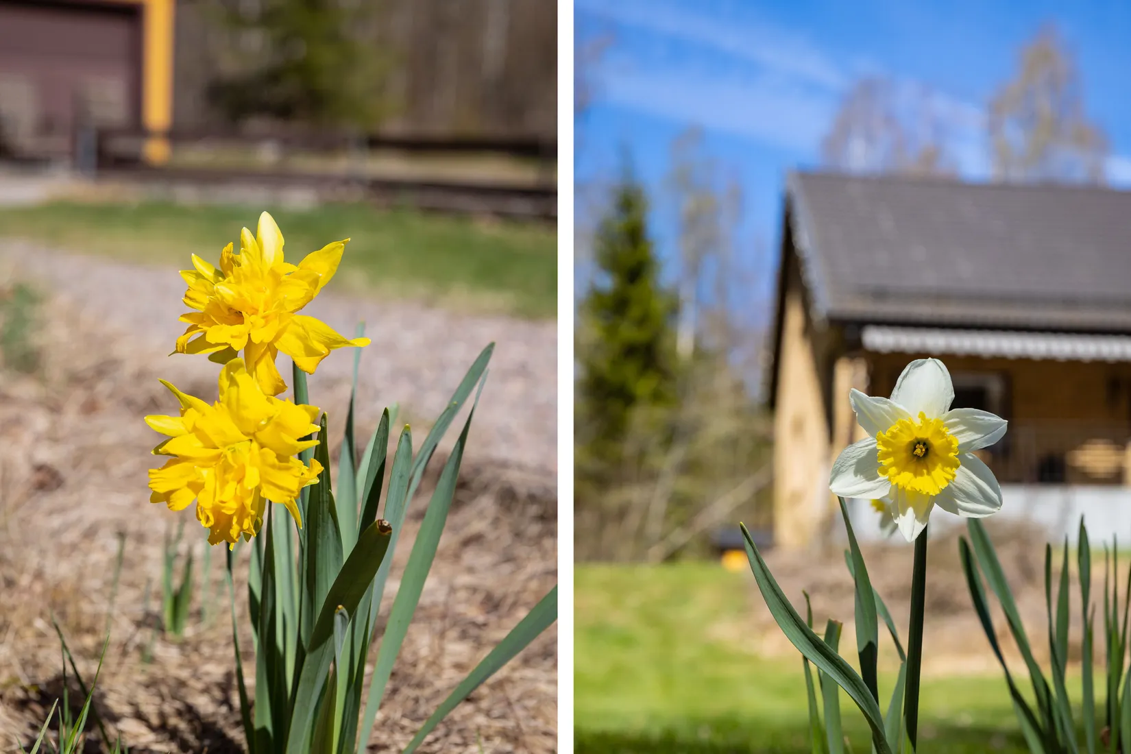 Villa, Långasjövägen 21, Backaryd, Ronneby