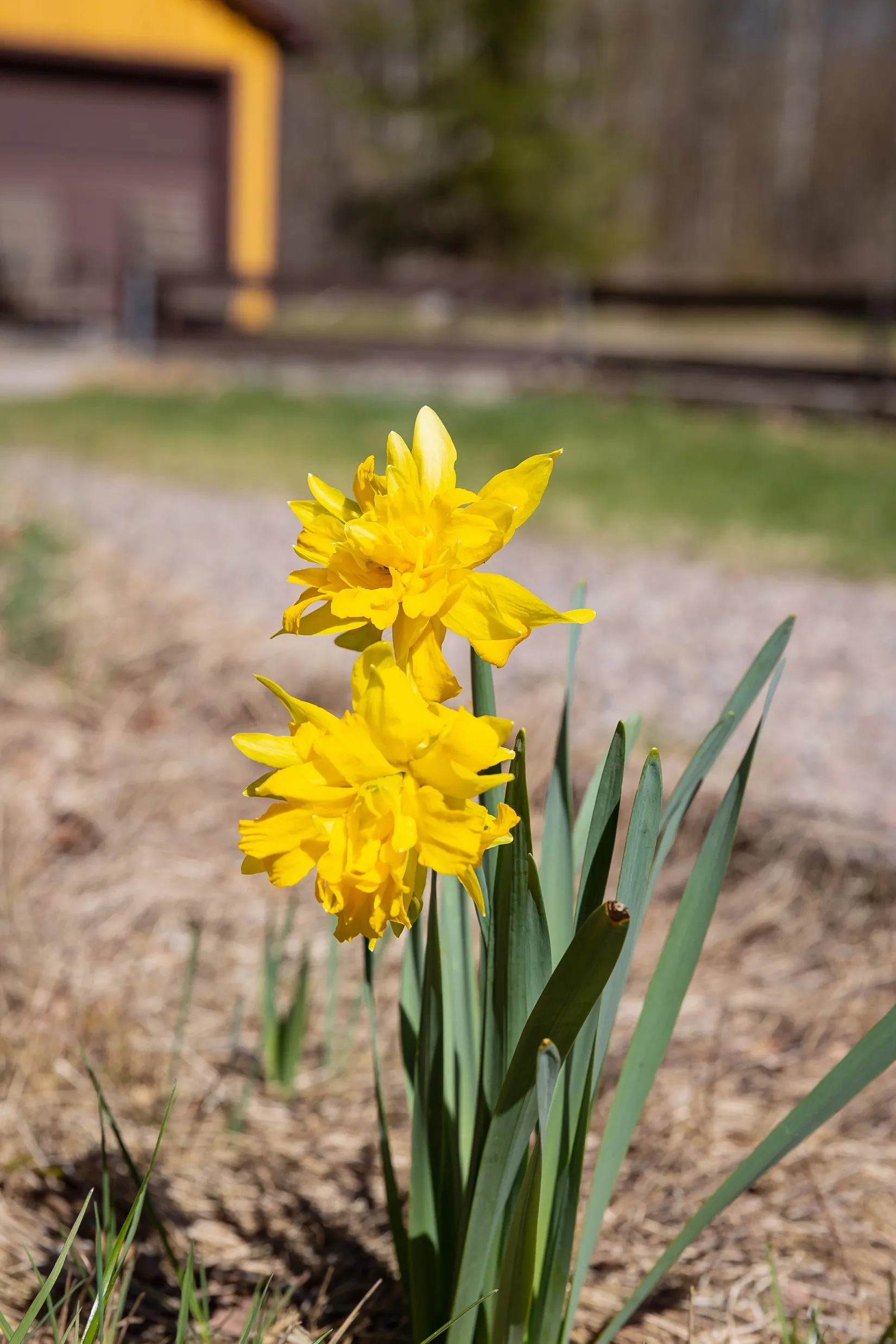 Villa, Långasjövägen 21, Backaryd, Ronneby
