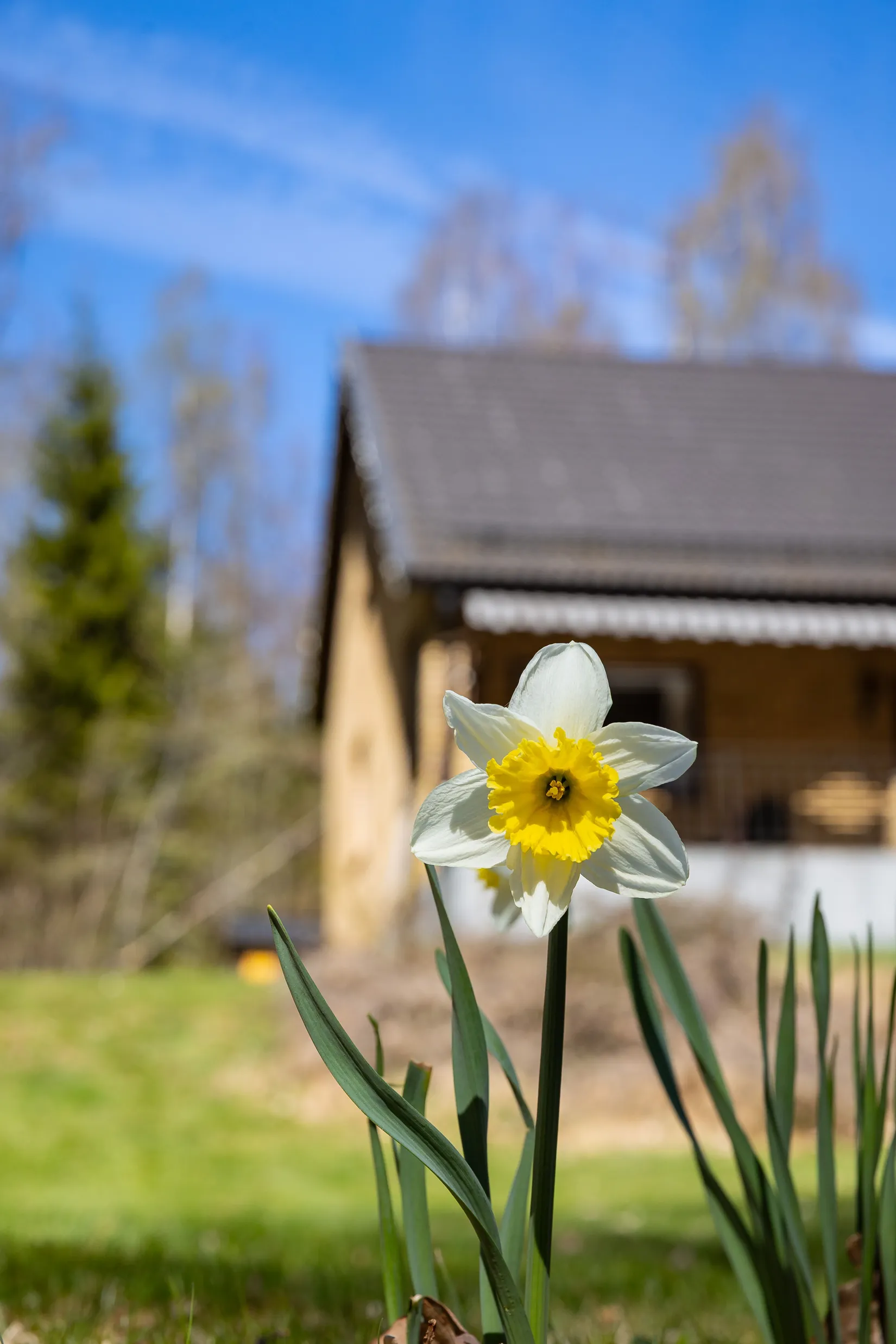 Villa, Långasjövägen 21, Backaryd, Ronneby