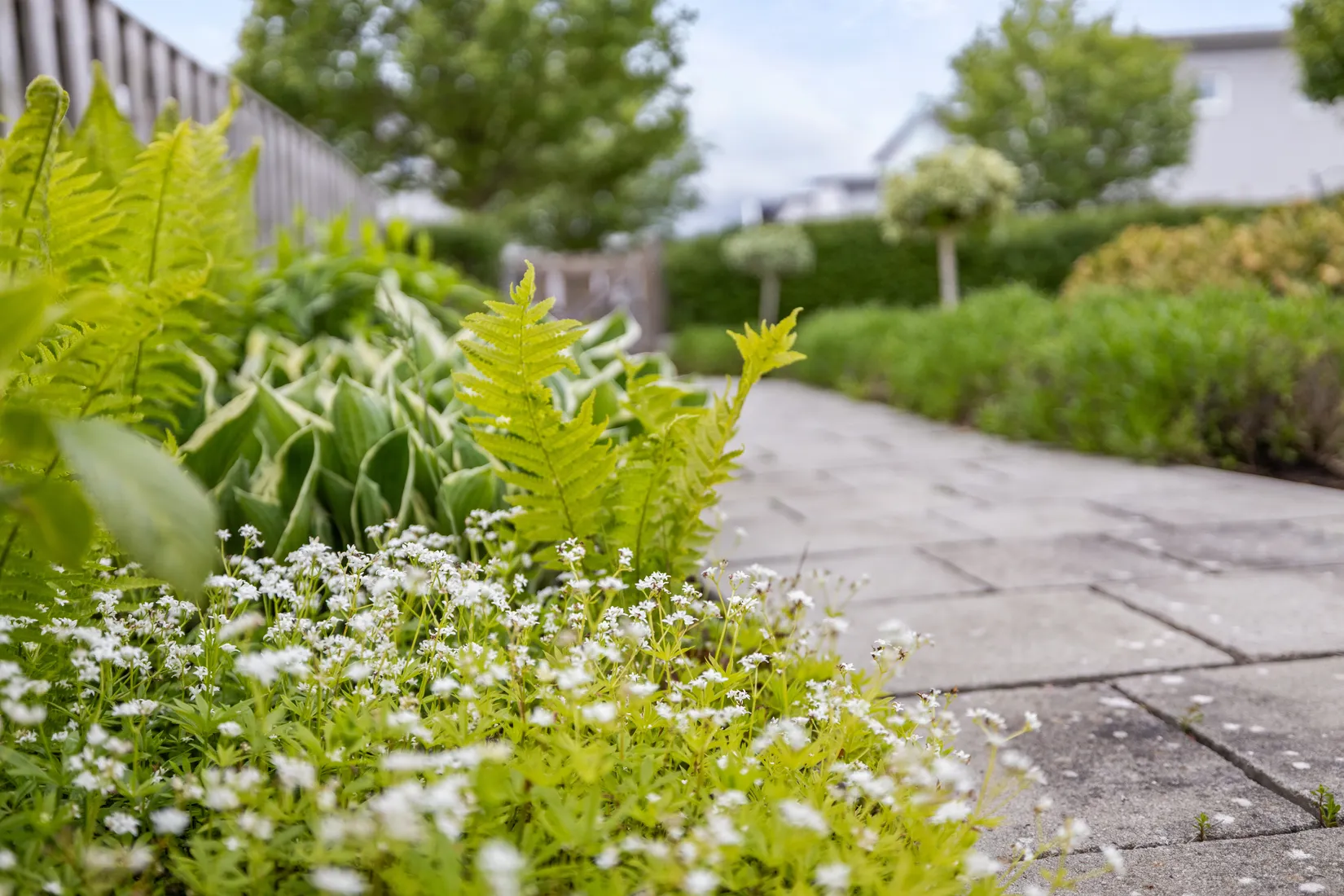 Bostadsrätt, Krokfiskevägen 3, Nybrostrand, Ystad