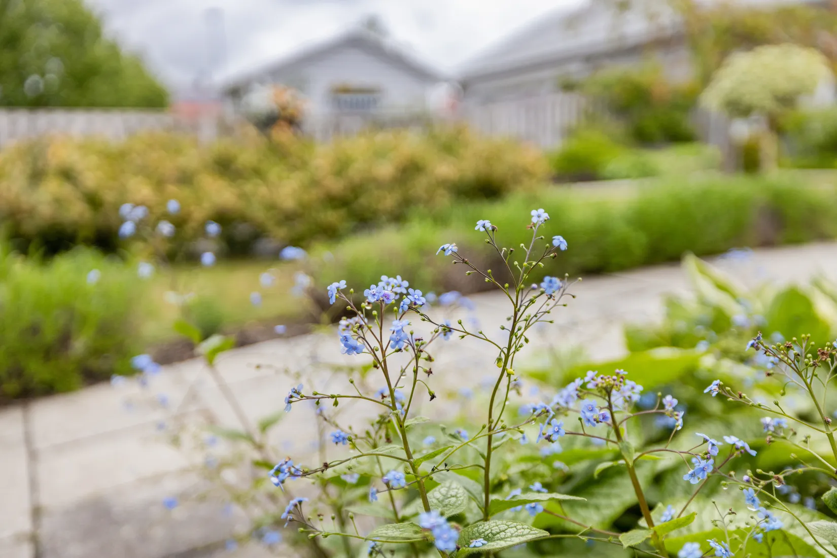 Bostadsrätt, Krokfiskevägen 3, Nybrostrand, Ystad