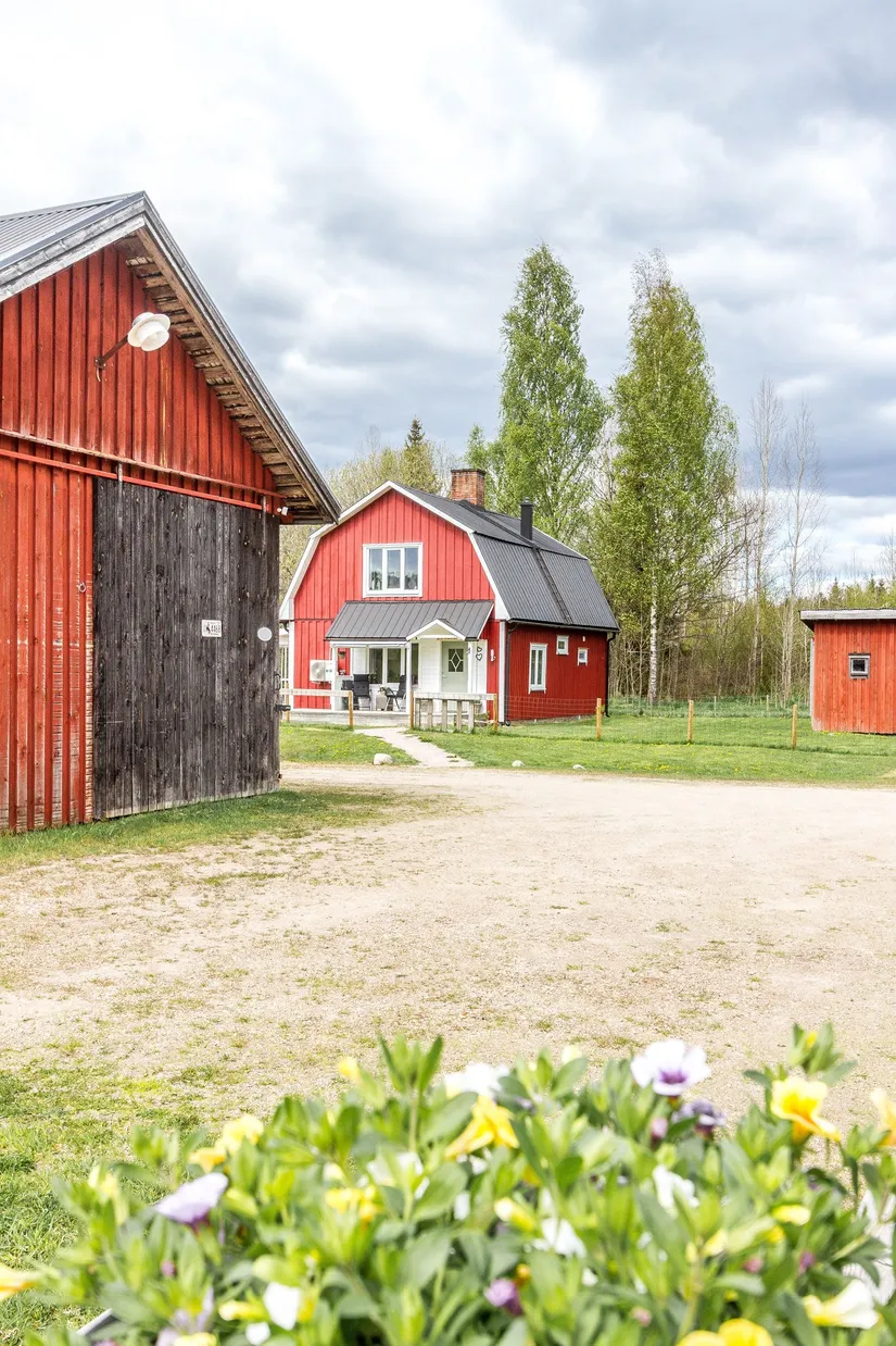 Gård/Skog, By Dalen, Hagfors