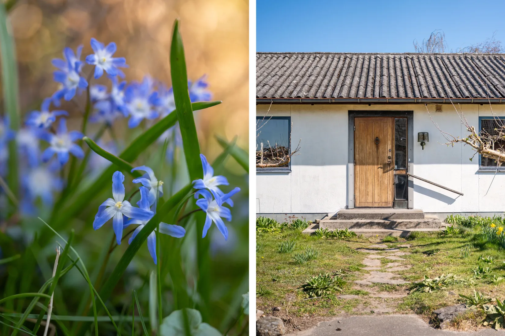 Villa, Grangatan 21, Tollarp, Kristianstad