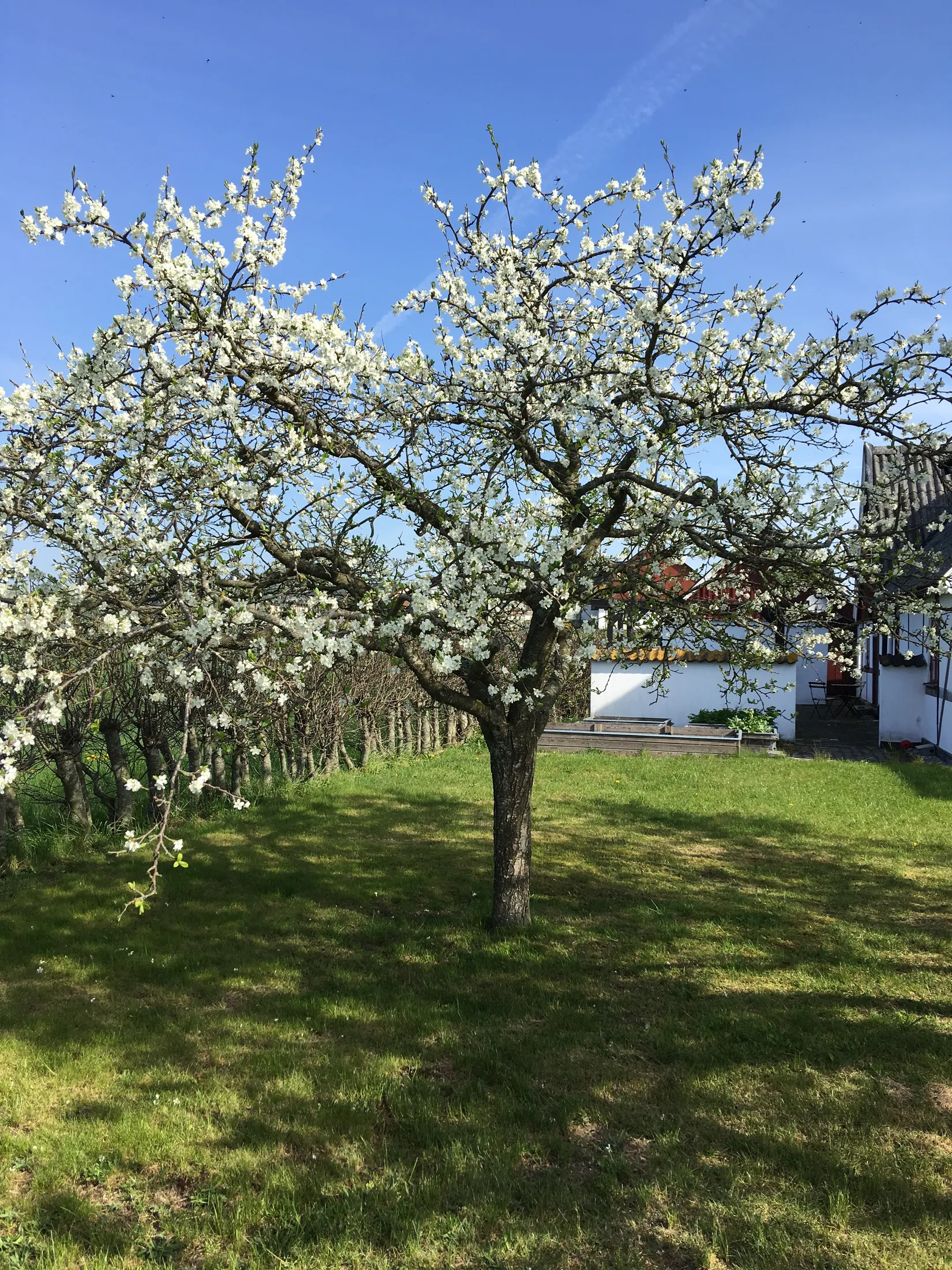 Villa, Anders Ols väg 18, Snårestad, Ystad