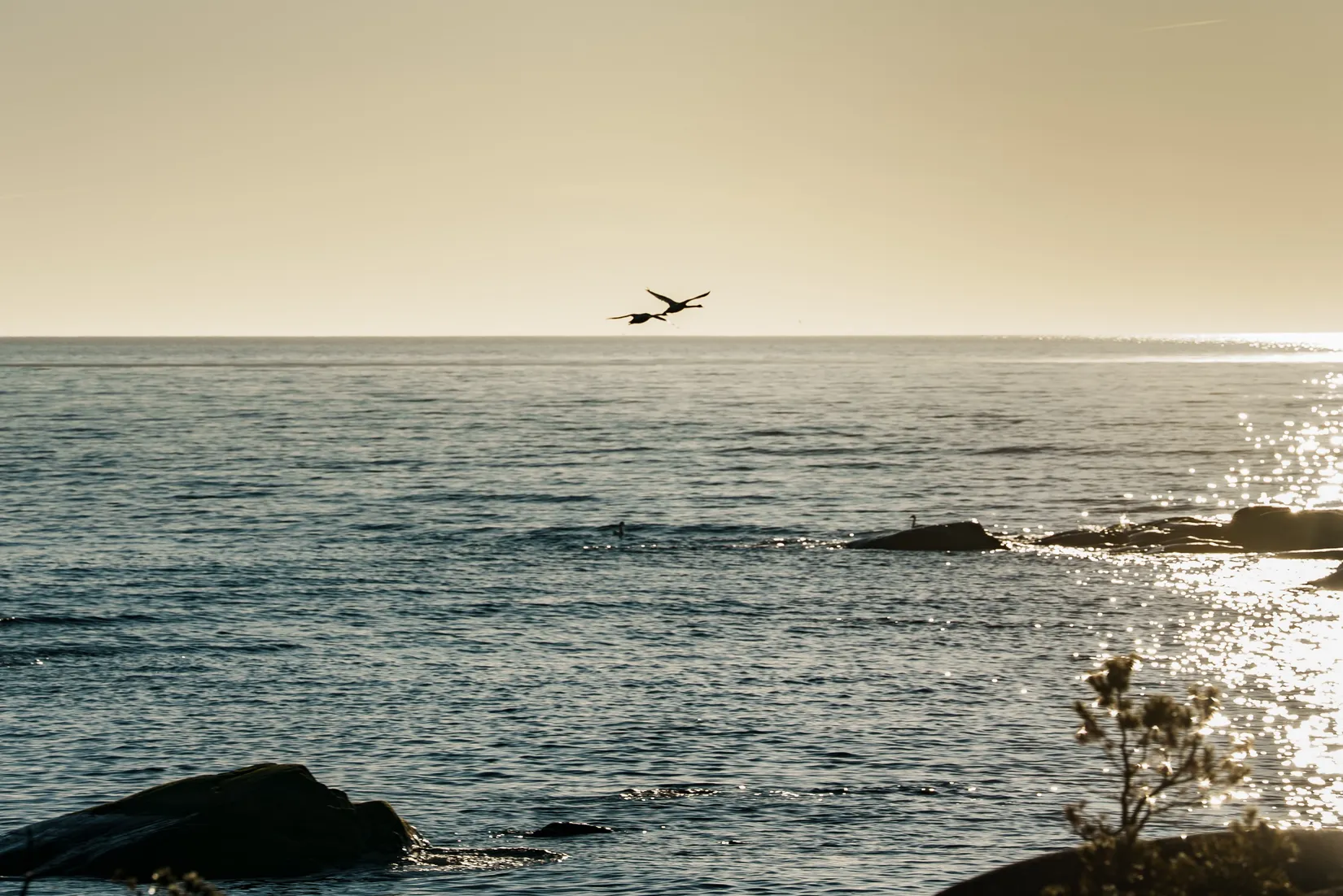 Fritidshus, Rödjavägen 24, Norrtälje