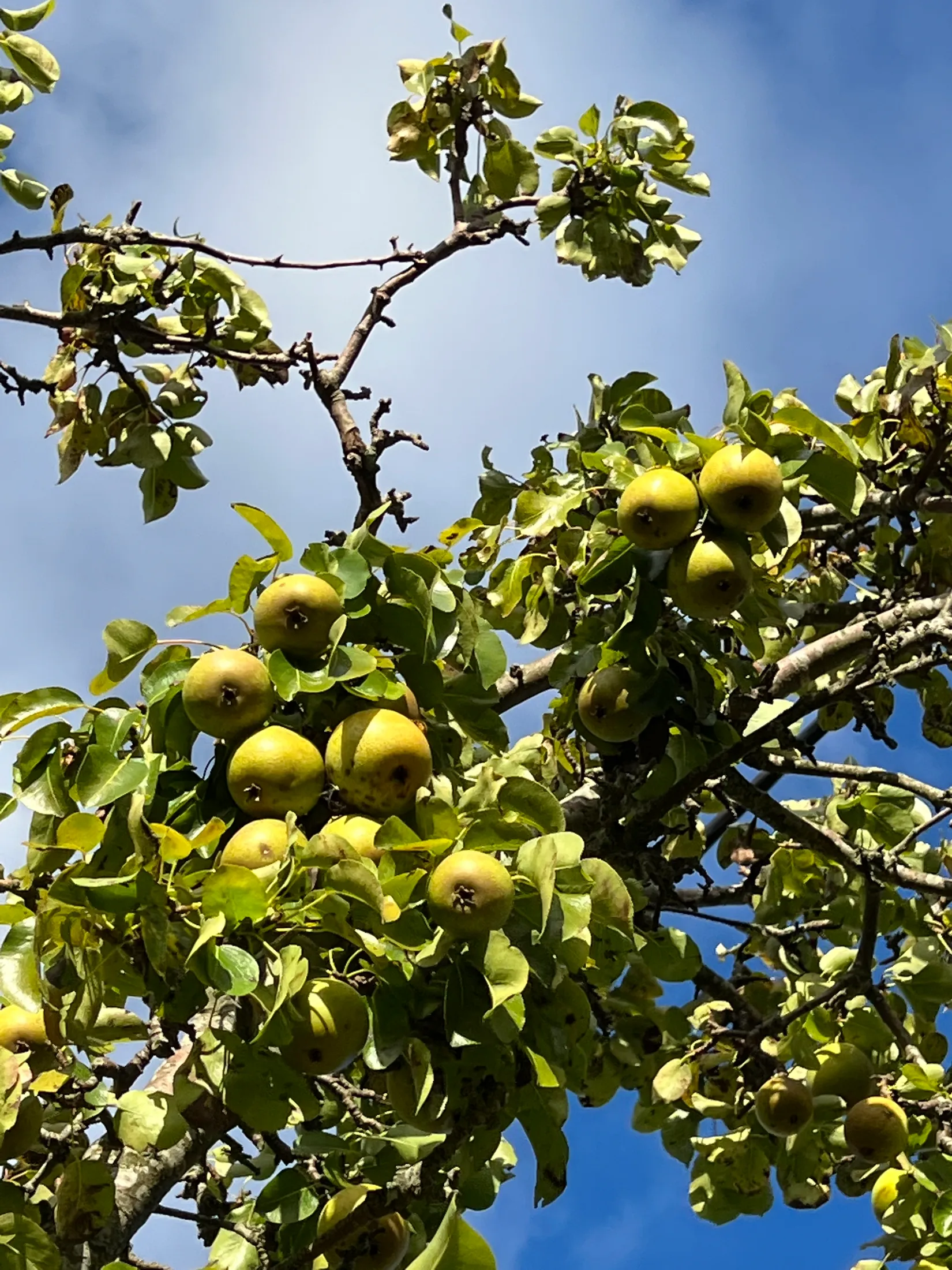 Fritidshus, Skeppstads Tärnväg 5, Torslanda - Havsbadskoloni, Göteborg