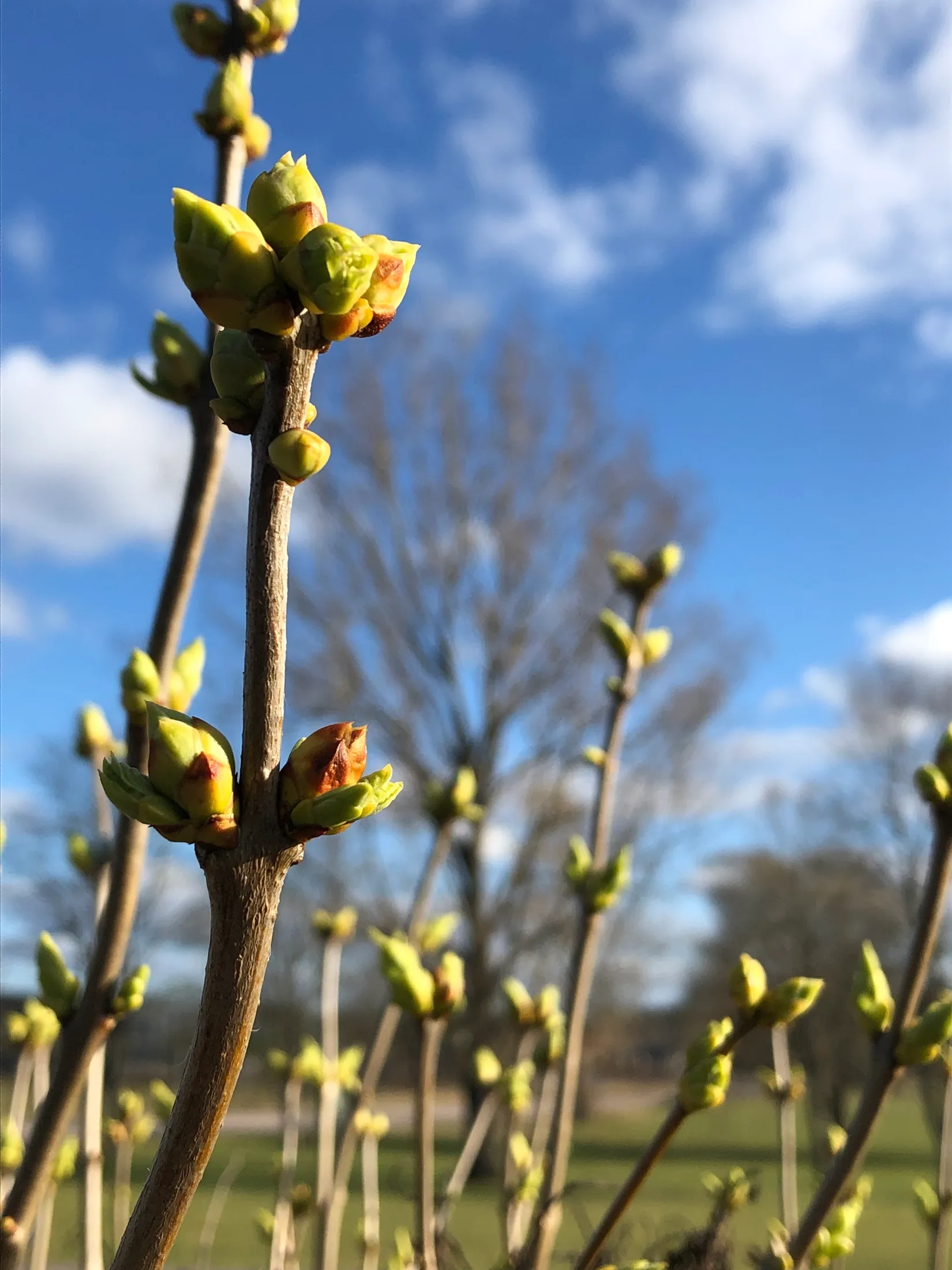 Villa, Roshagsvägen 2, Hackefors, Linköping