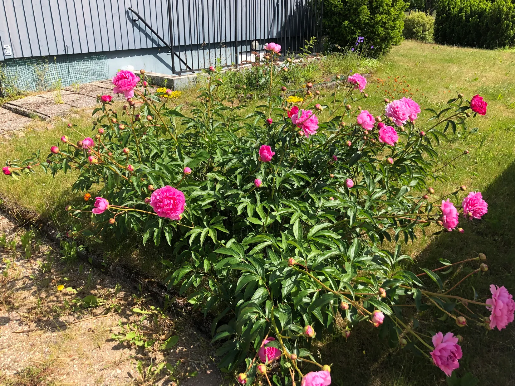 Villa, Roshagsvägen 2, Hackefors, Linköping