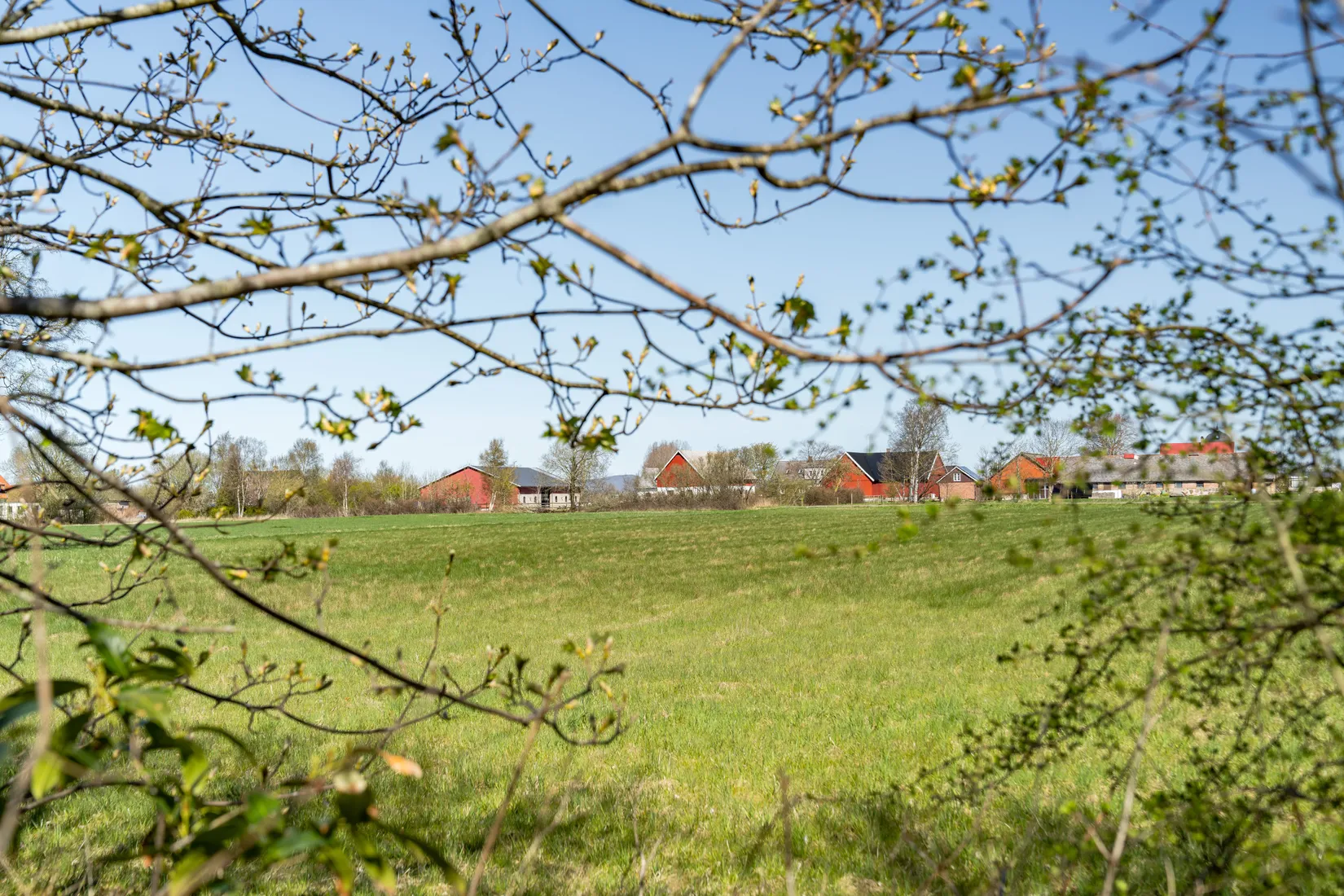 Villa, Nils Truls väg 11, Ingelsträde, Höganäs