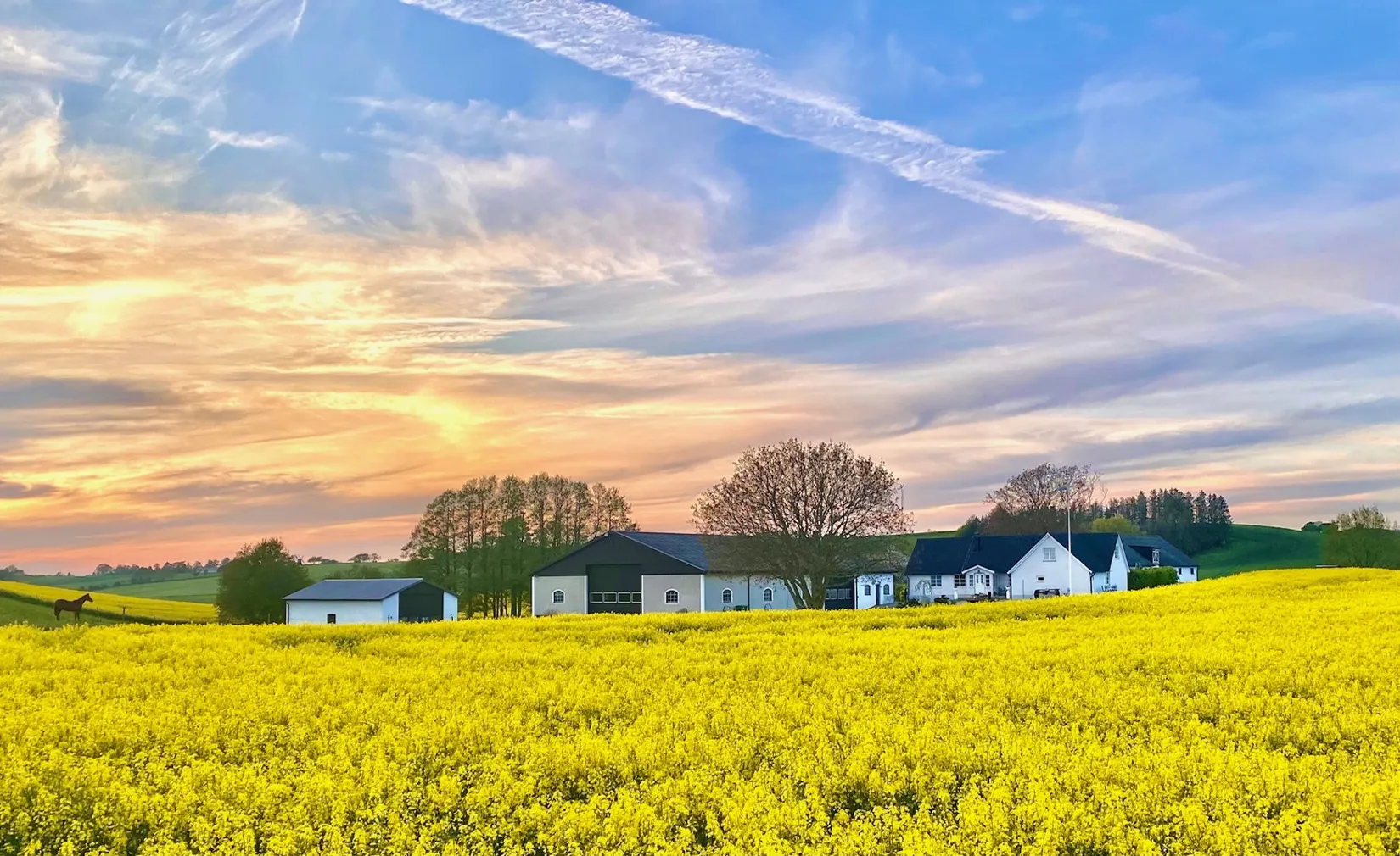 Villa, Gård/Skog, Munka Tågarp Munkatorp 1, Munka Tågarp, Tomelilla