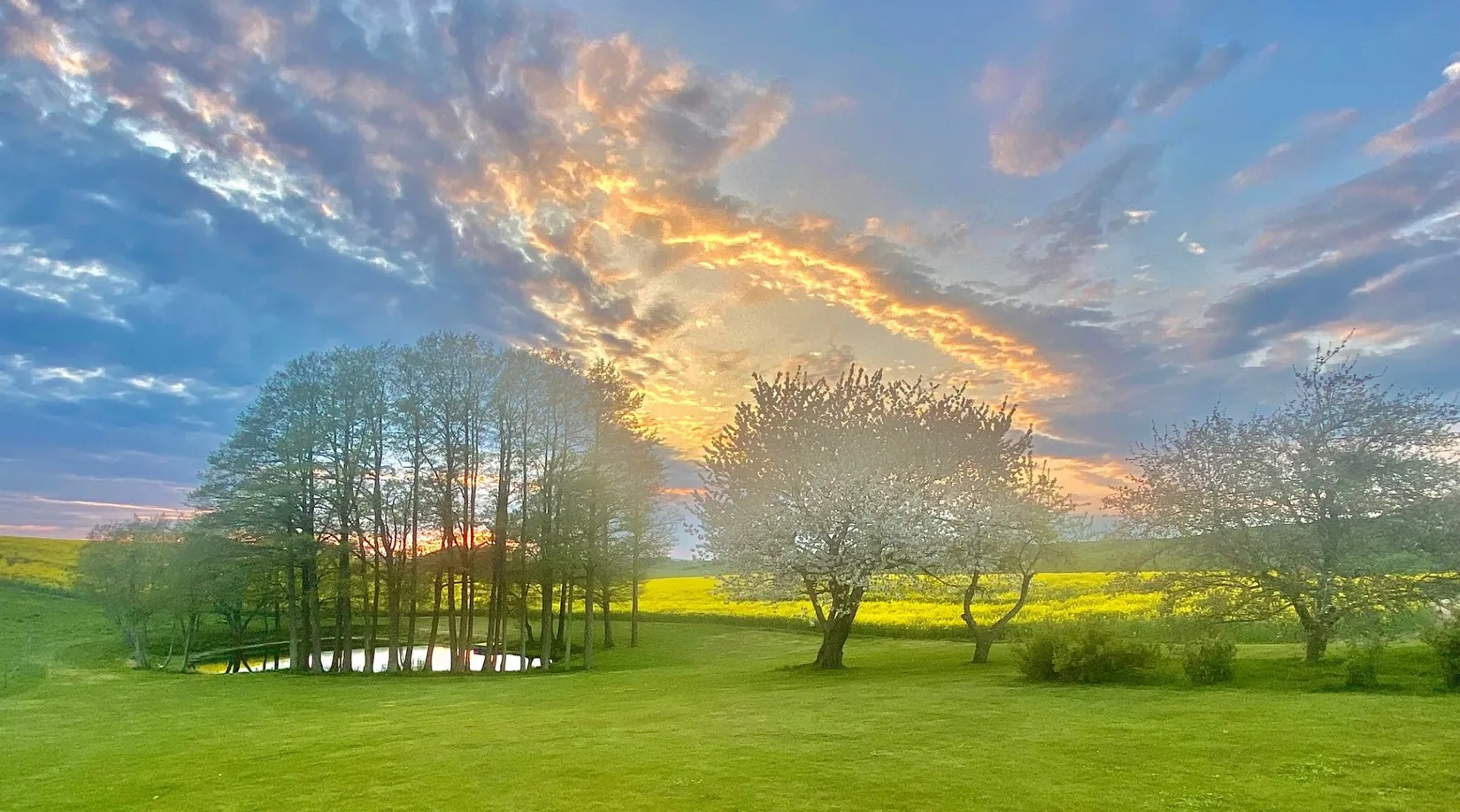 Villa, Gård/Skog, Munka Tågarp Munkatorp 1, Munka Tågarp, Tomelilla