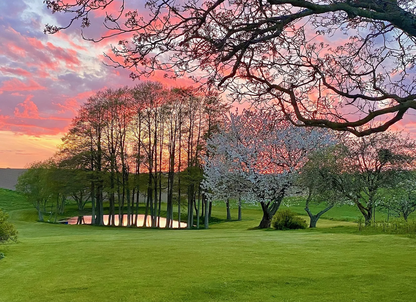 Villa, Gård/Skog, Munka Tågarp Munkatorp 1, Munka Tågarp, Tomelilla