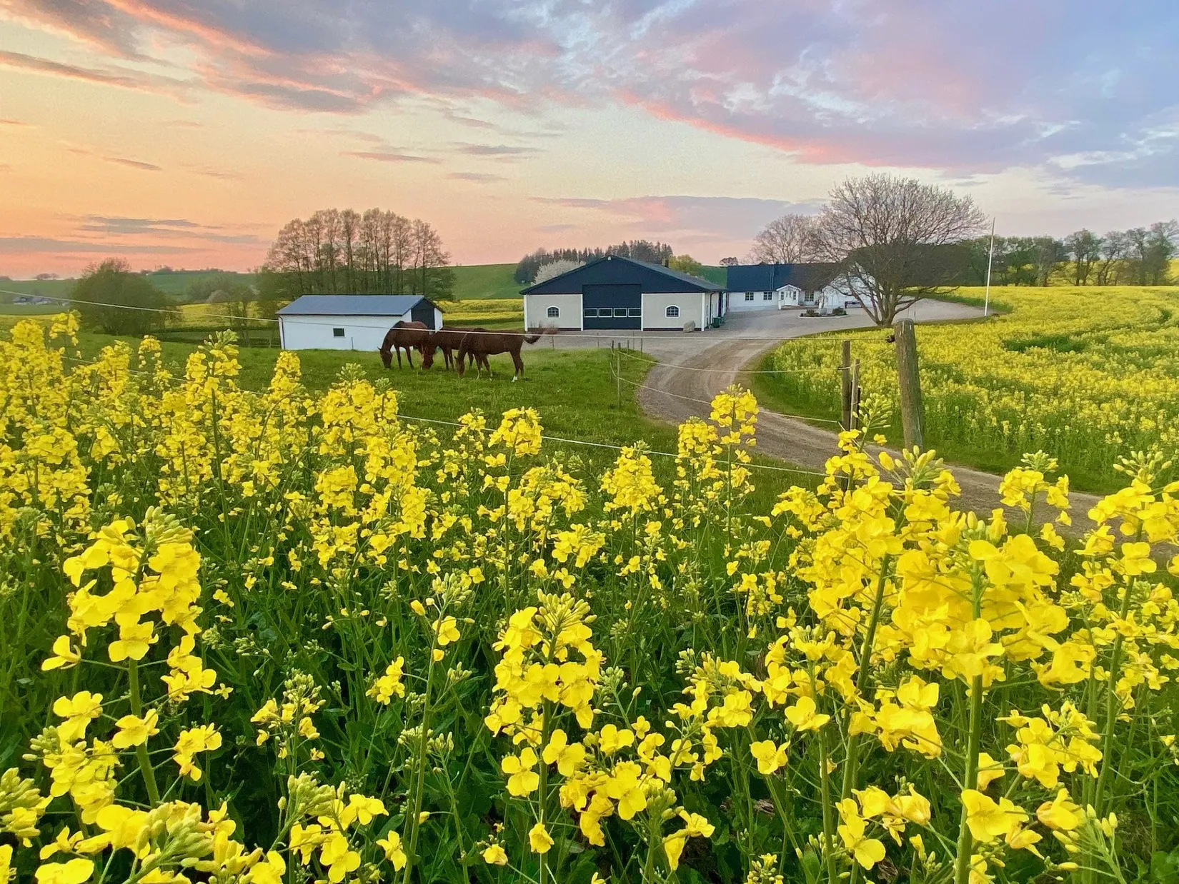 Villa, Gård/Skog, Munka Tågarp Munkatorp 1, Munka Tågarp, Tomelilla