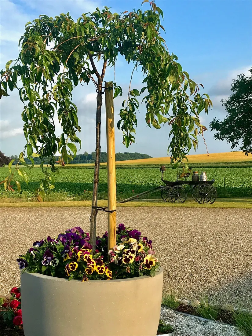 Villa, Gård/Skog, Munka Tågarp Munkatorp 1, Munka Tågarp, Tomelilla