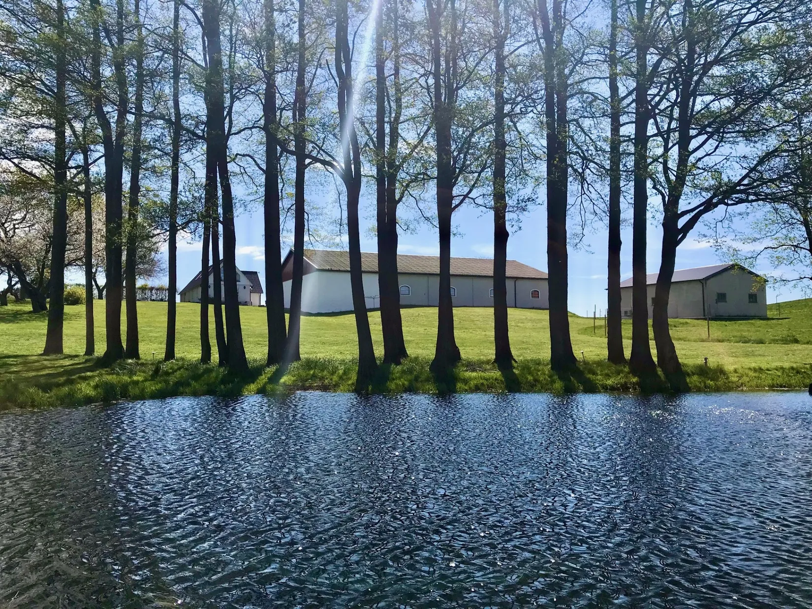 Villa, Gård/Skog, Munka Tågarp Munkatorp 1, Munka Tågarp, Tomelilla