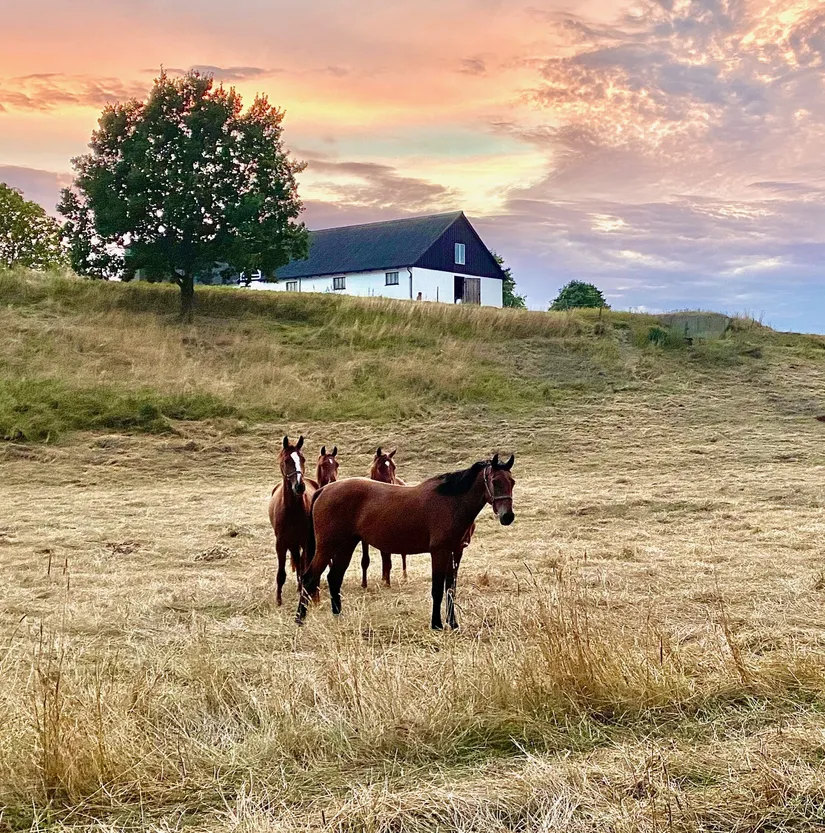 Villa, Gård/Skog, Munka Tågarp Munkatorp 1, Munka Tågarp, Tomelilla