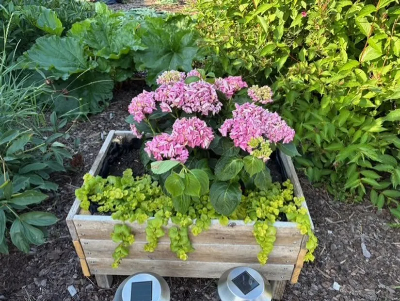 Fritidshus, Ekebydal koloniområde, väg 7 stuga nr 67, Bergshammar, Nyköping