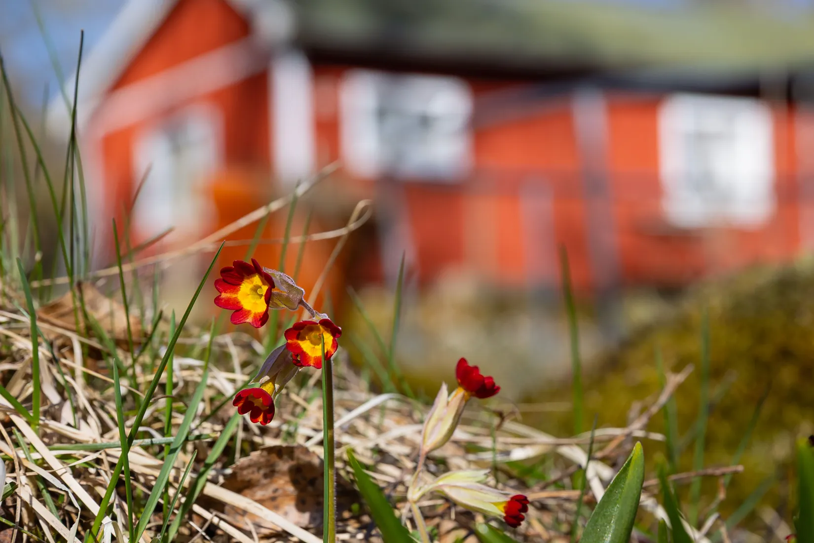 Fritidshus, Bågsjövägen 10, Bågsjön, Ronneby