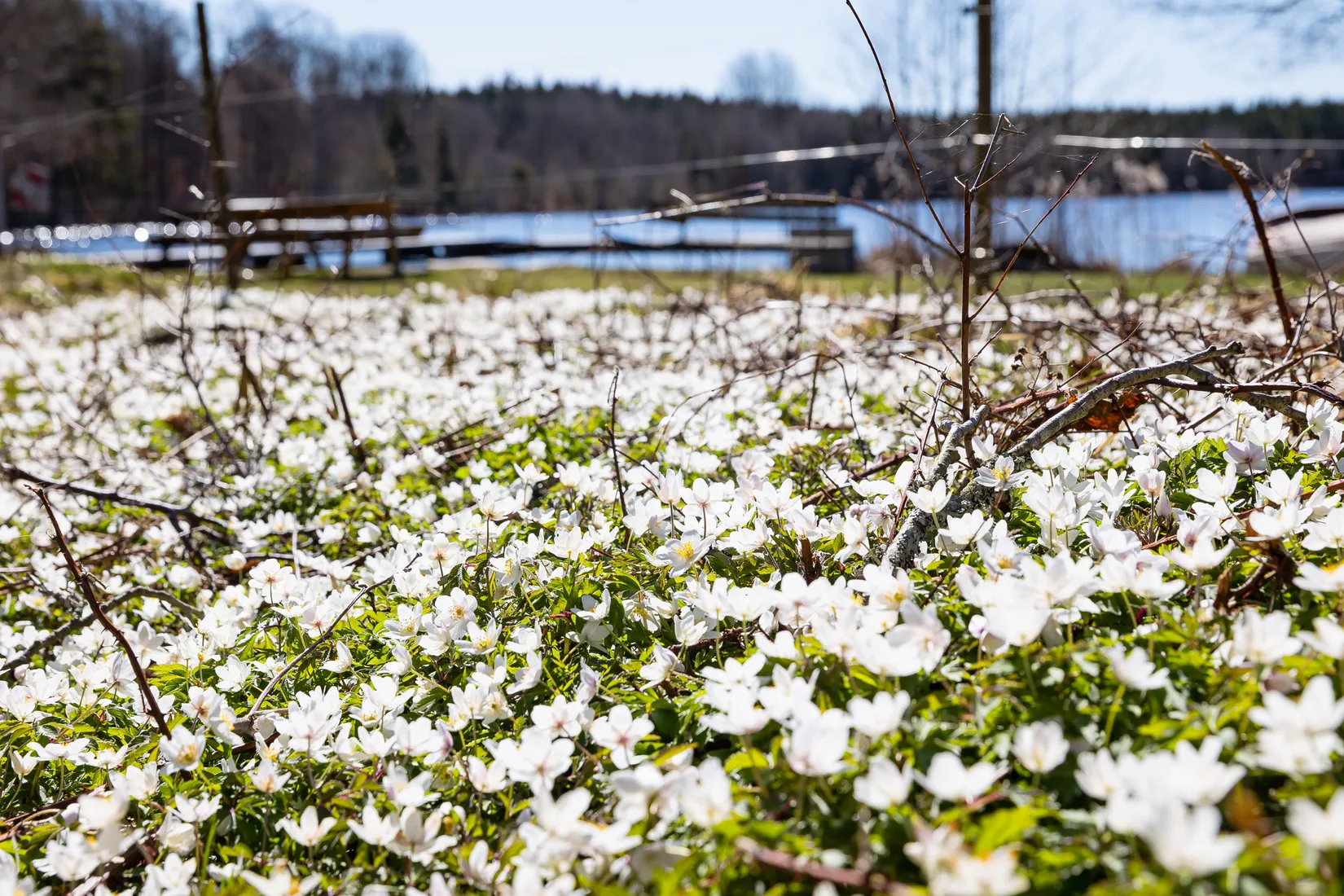 Fritidshus, Bågsjövägen 10, Bågsjön, Ronneby