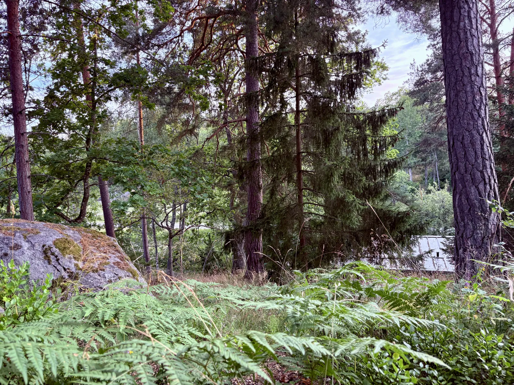 Fritidshus, Risslevägen 256, Nynäshamn  Sorunda, Nynäshamn