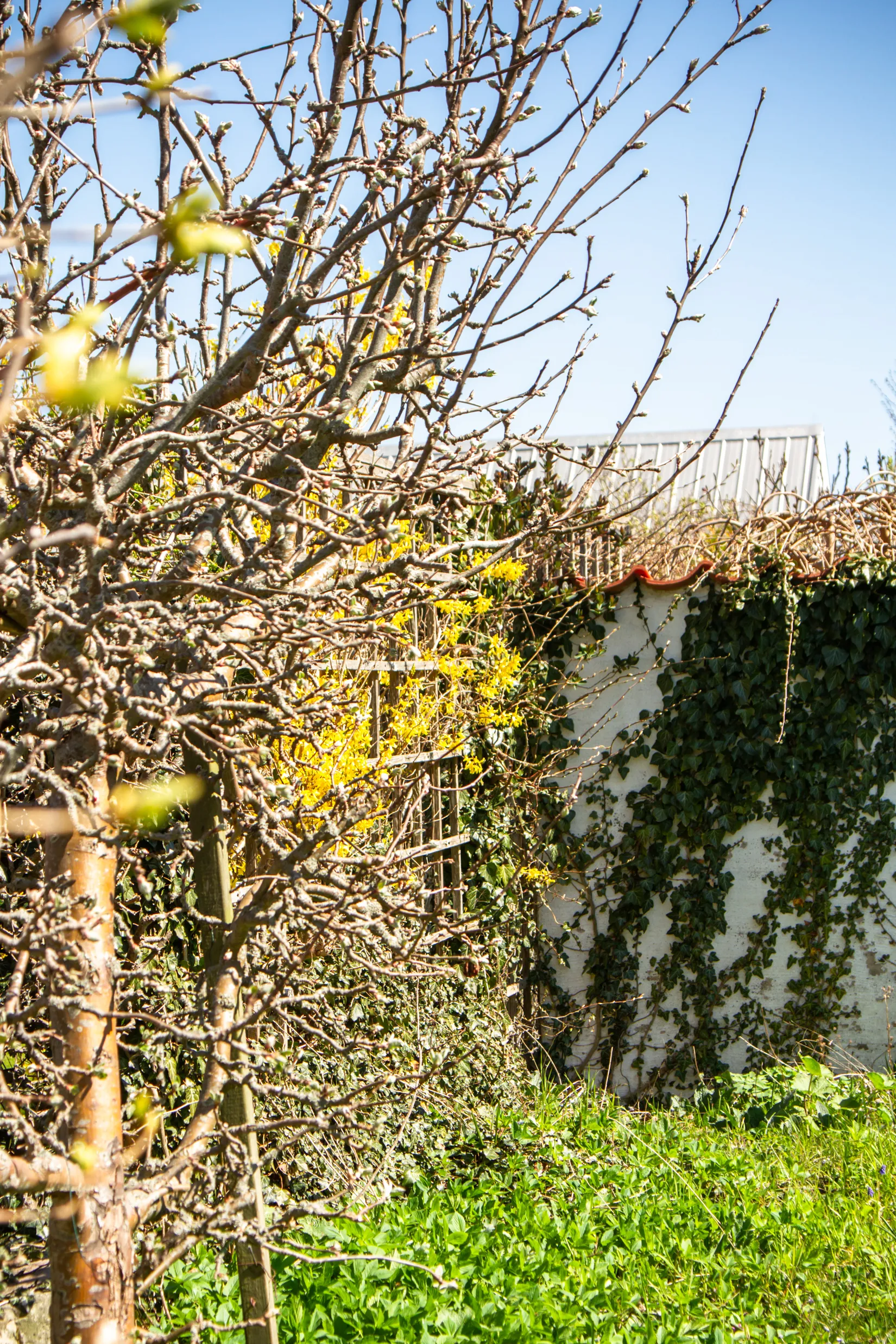 Bostadsrätt, Möllekroken 19, Brantevik, Simrishamn