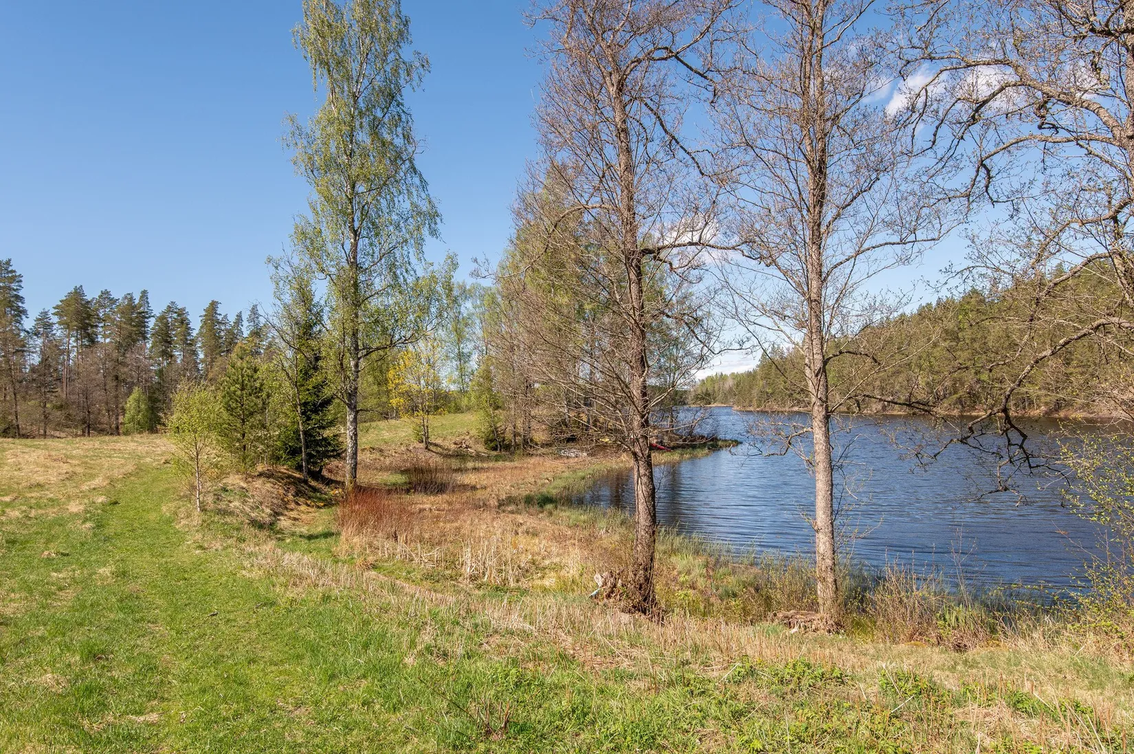 Gård/Skog, Jägestorp 509, Finspång