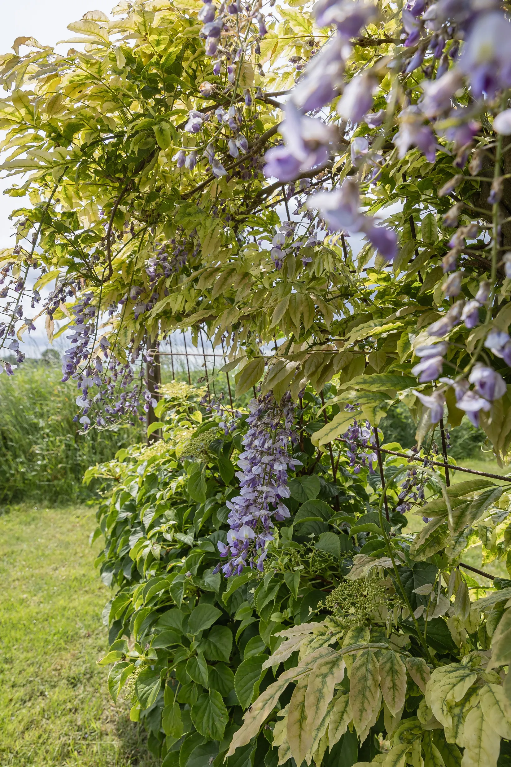 Fritidshus, Ådalavägen 98, Sölvesborg