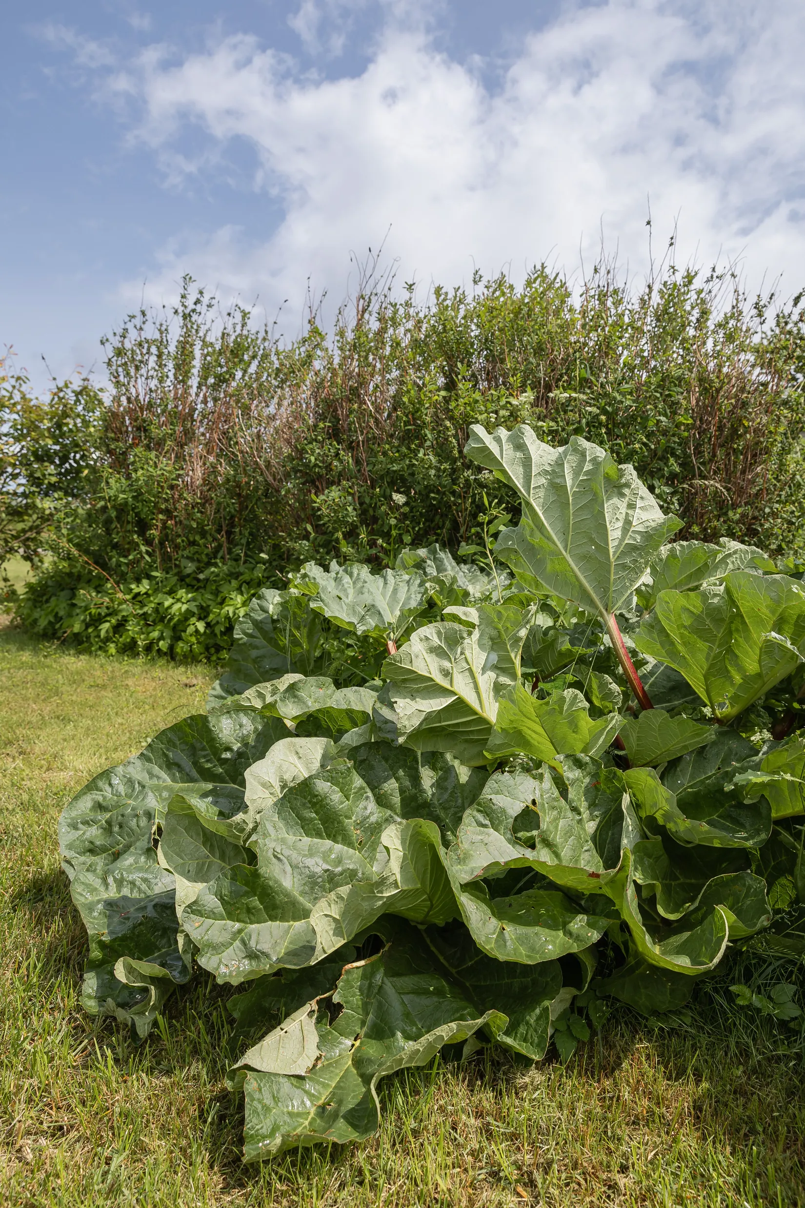 Fritidshus, Ådalavägen 98, Sölvesborg