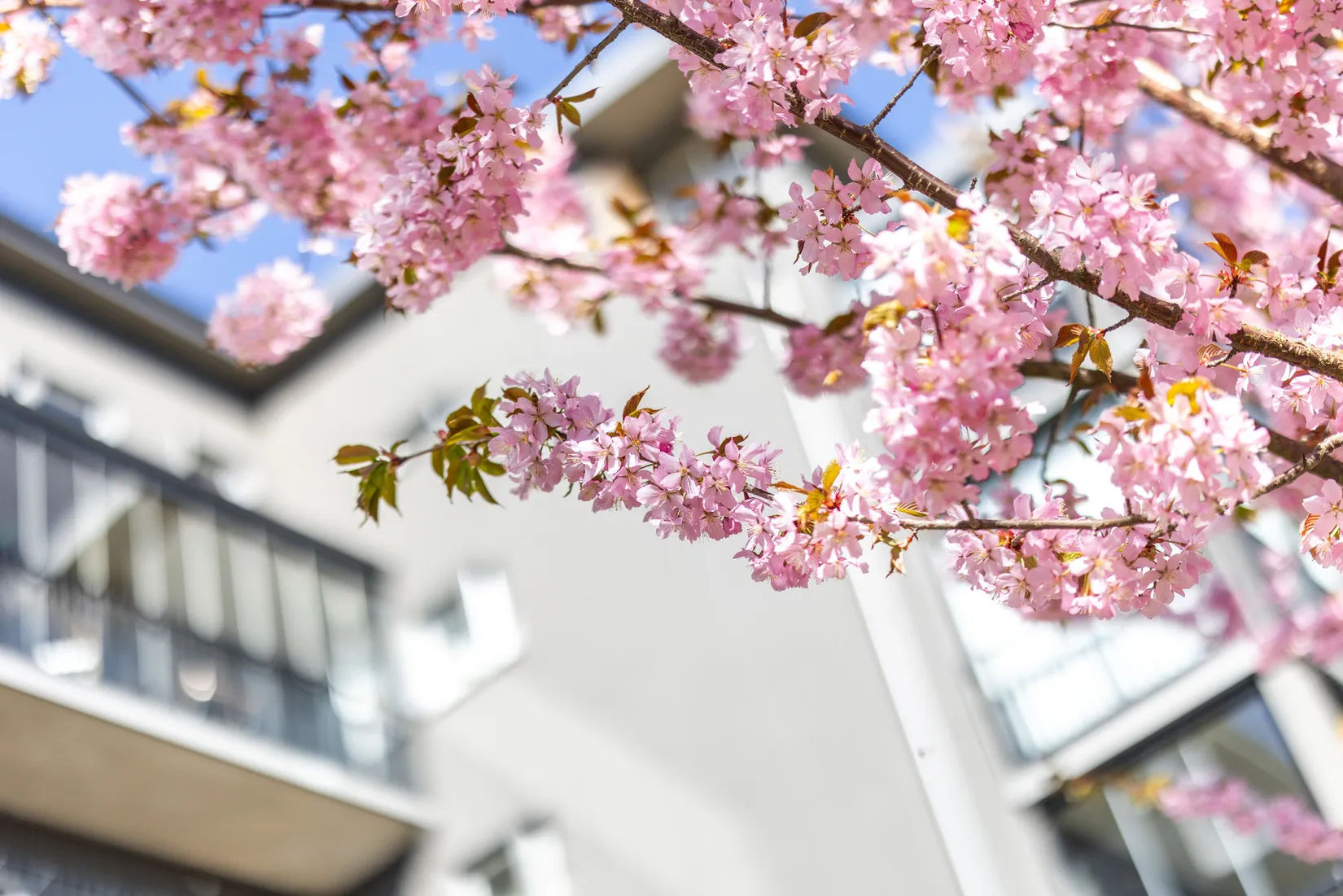 Bostadsrätt, Tellusgatan 2B, Kungsängen, Jönköping