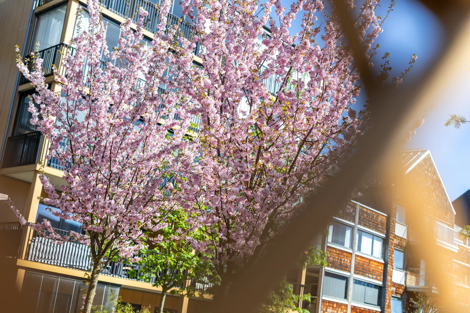 Bostadsrätt, Tellusgatan 2B, Kungsängen, Jönköping