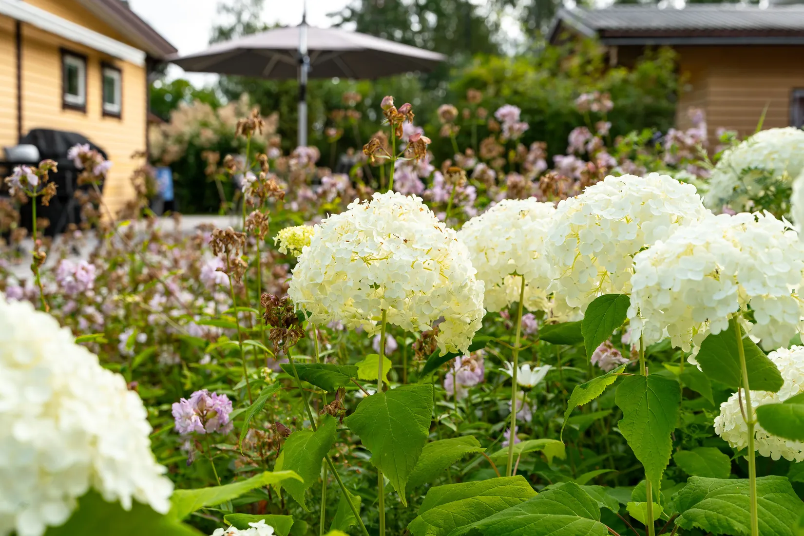 Fritidshus, Sjögränd 17, Hållnäs, Tierp