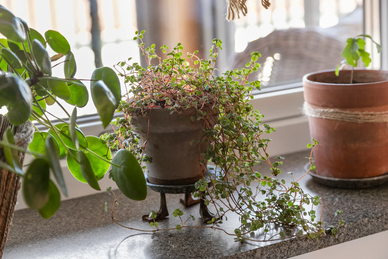 Bostadsrätt, Almebergsgatan 8B, Centrum, Varberg