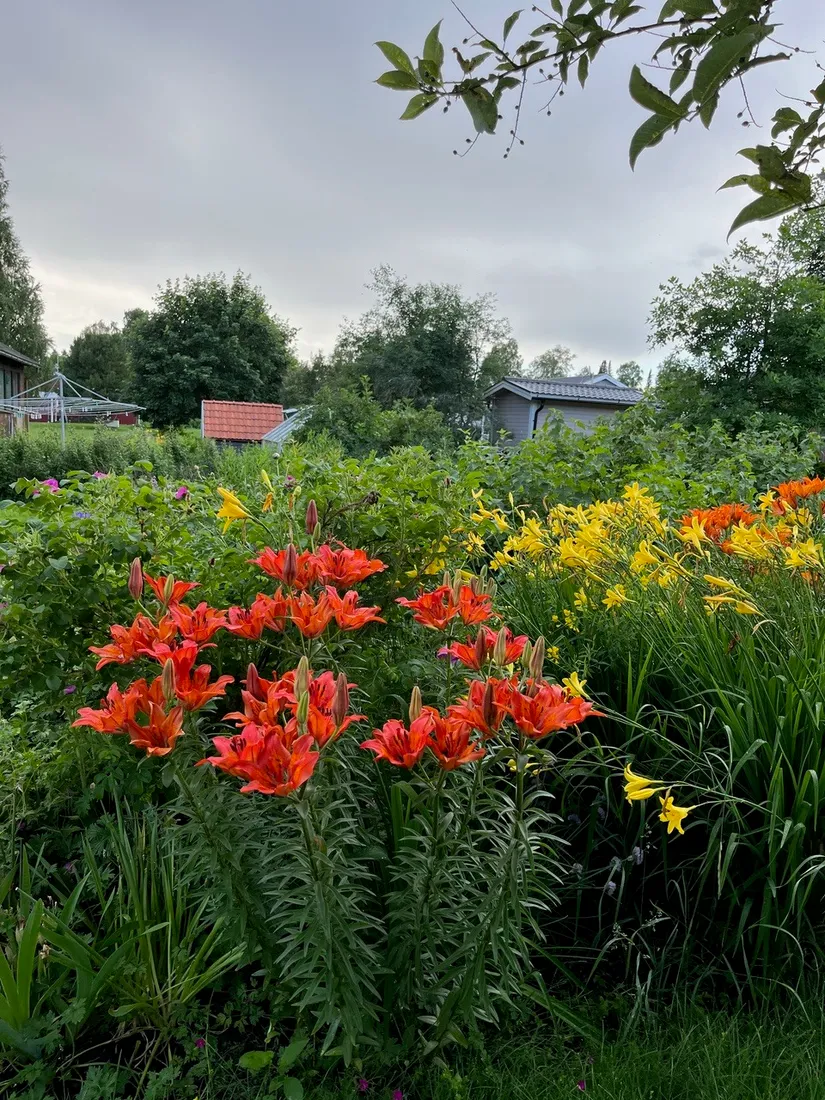 Villa, Granvägen 24, Vindeln