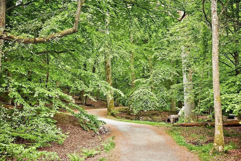 Bostadsrätt, Jättegrytsgatan 3A, Örgryte - Jakobsdal, Göteborg