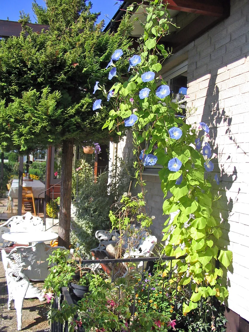 Villa, Krokvägen 8, Kulltorp, Kristianstad