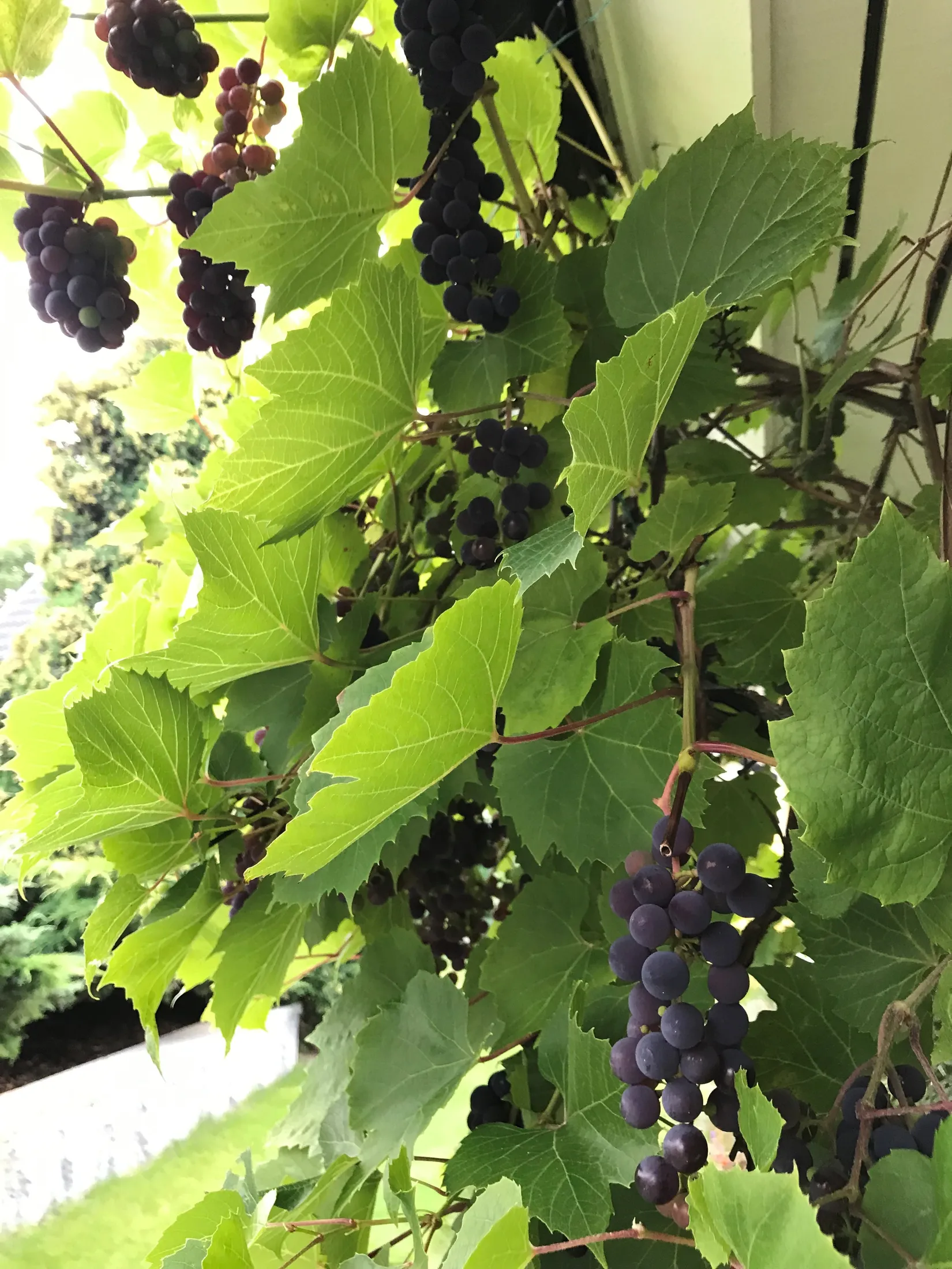 Villa, Öringe strandväg 22, Öringe, Tyresö