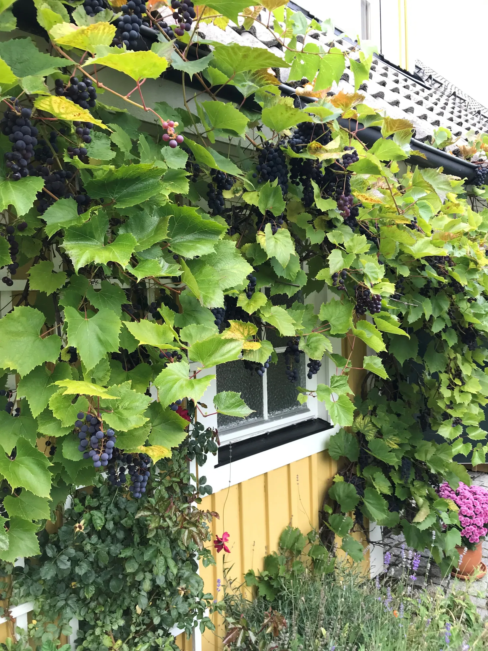 Villa, Öringe strandväg 22, Öringe, Tyresö