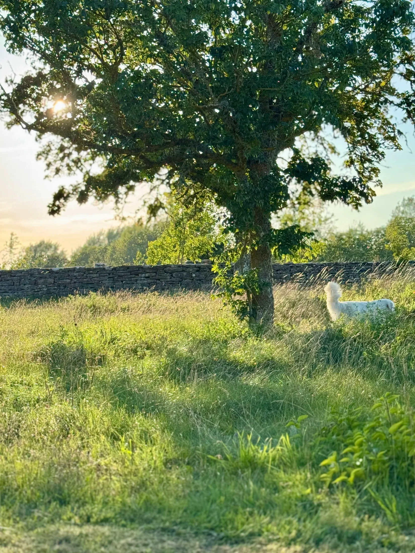 Villa, Kräklingbo Prästgården 222, Kräklingbo - Östra Gotland, Gotland