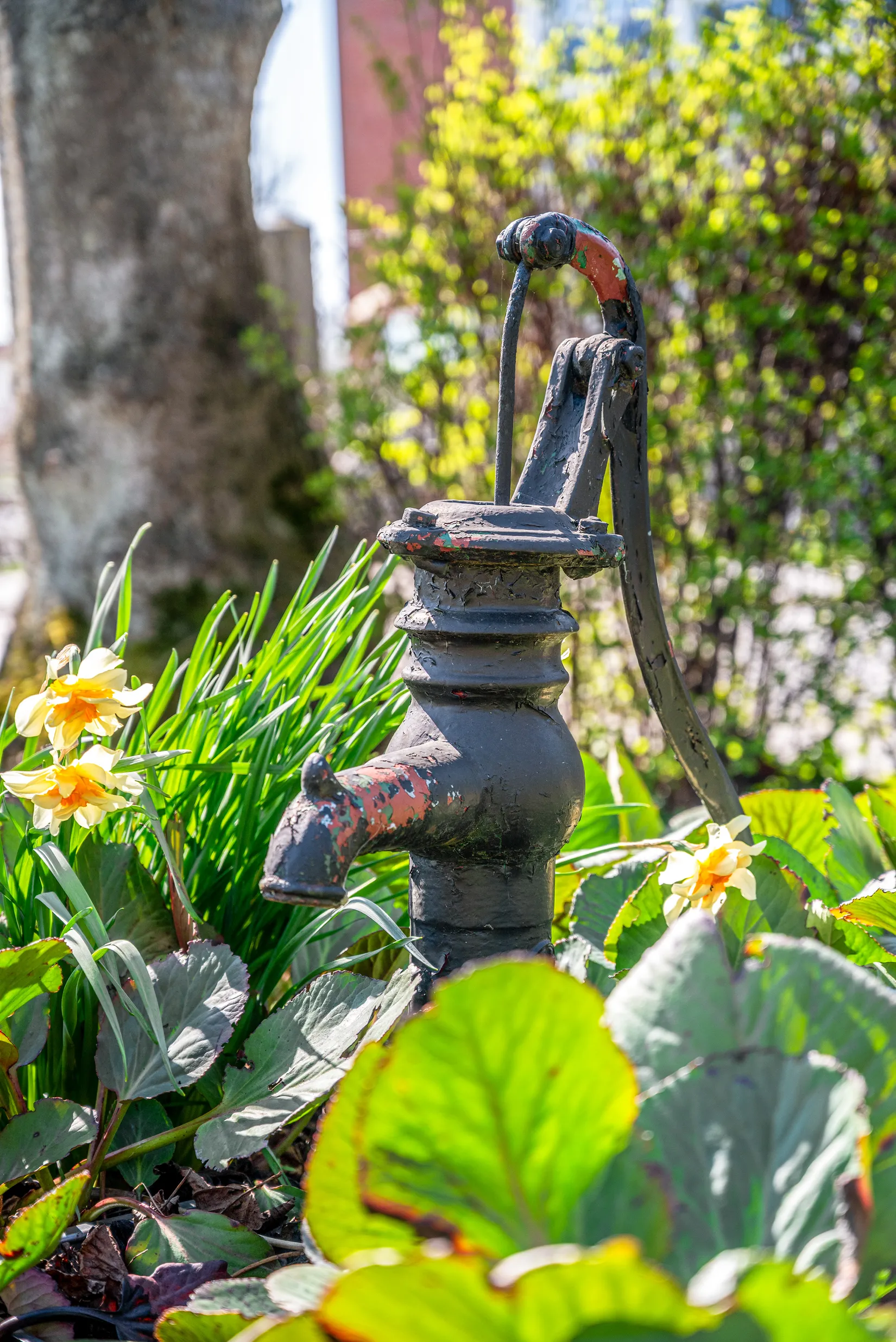 Fritidshus, Maskinvägen 8 - kolonistuga nr 43 i koloniområdet Västhagen, Väster, Lund