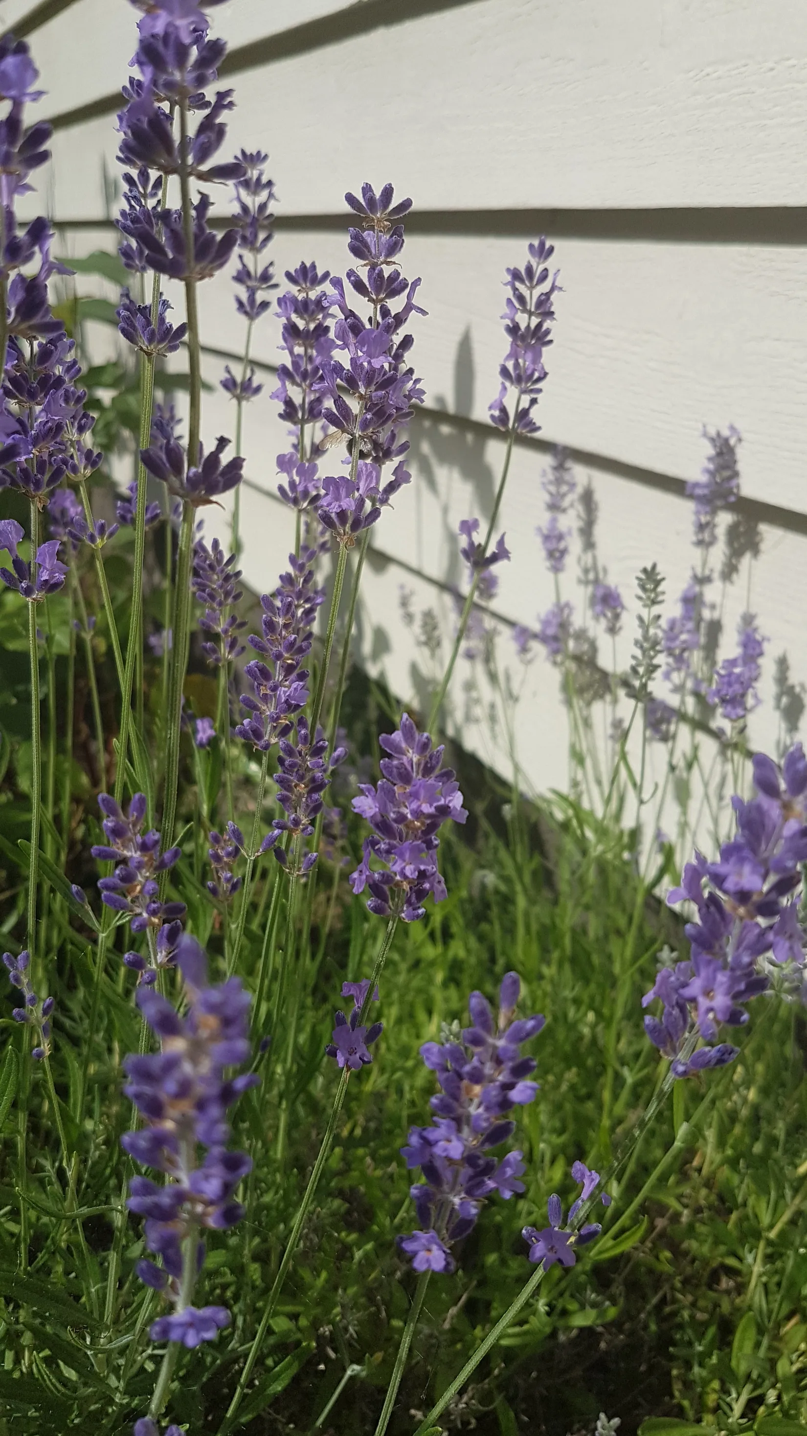 Fritidshus, Sjöbacka 1, Strängnäs