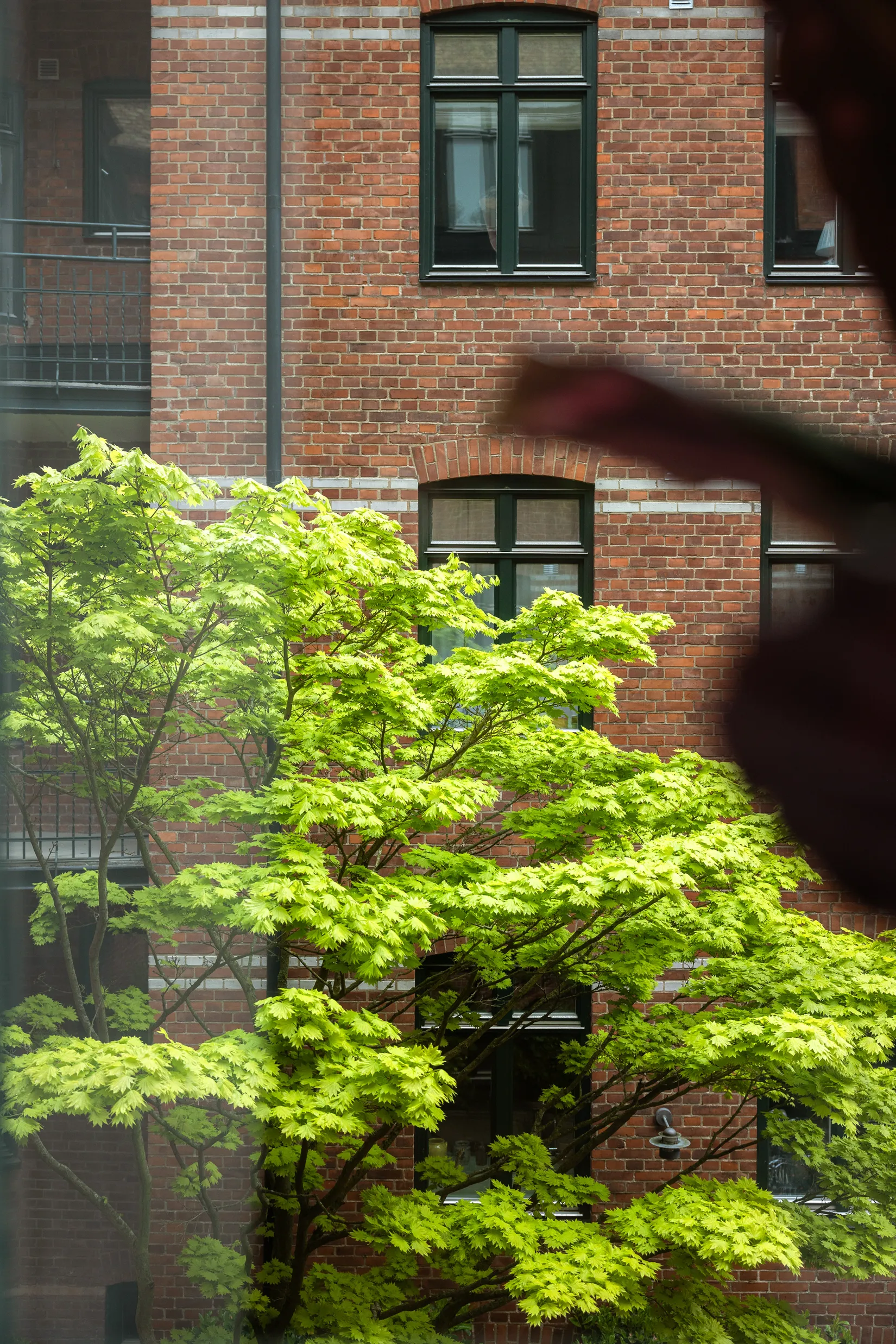 Bostadsrätt, Svanegatan 5B, Centrum, Lund
