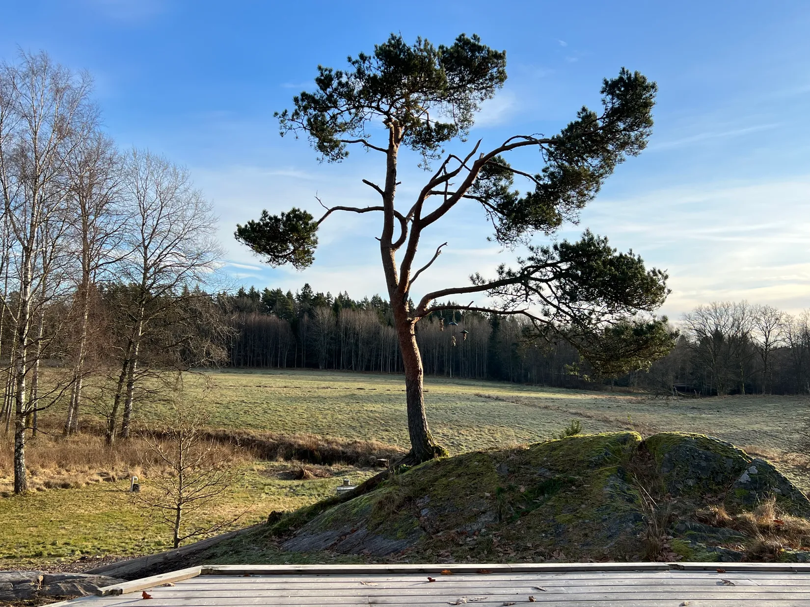 Villa, Hjälmetorpsvägen 17, Gräfsnäs, Alingsås