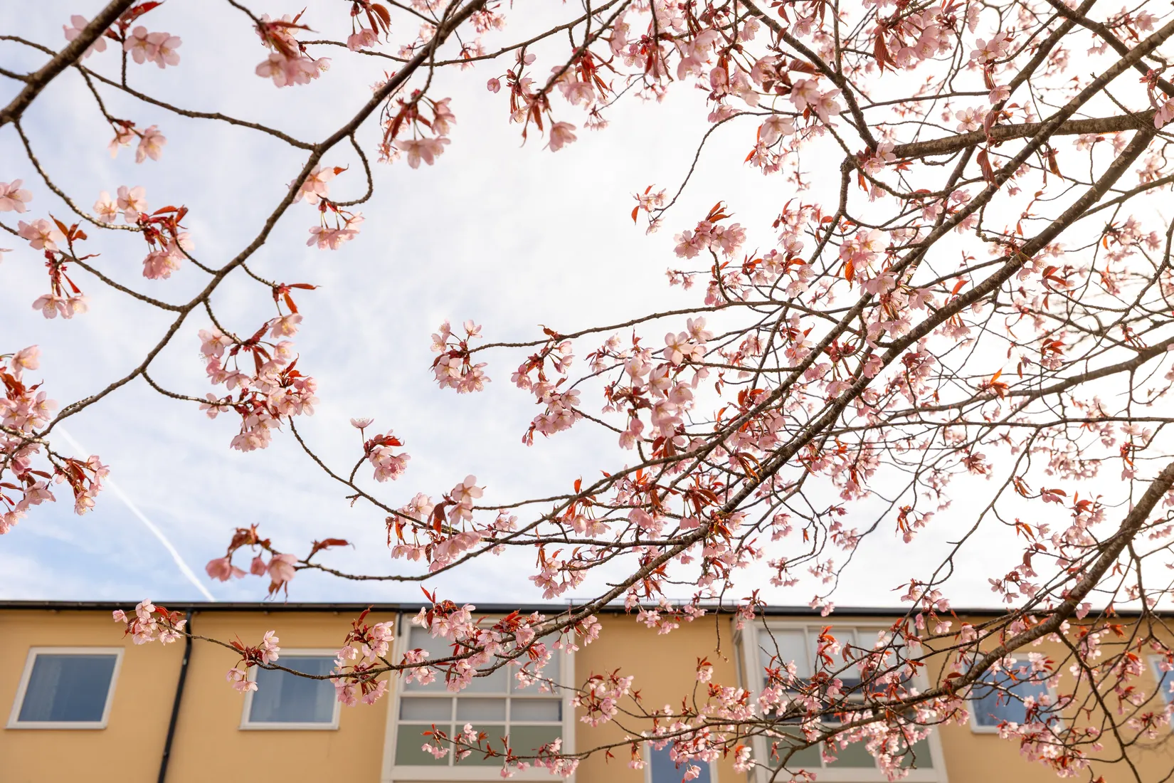 Bostadsrätt, Karmgatan 61, Våxnäs, Karlstad