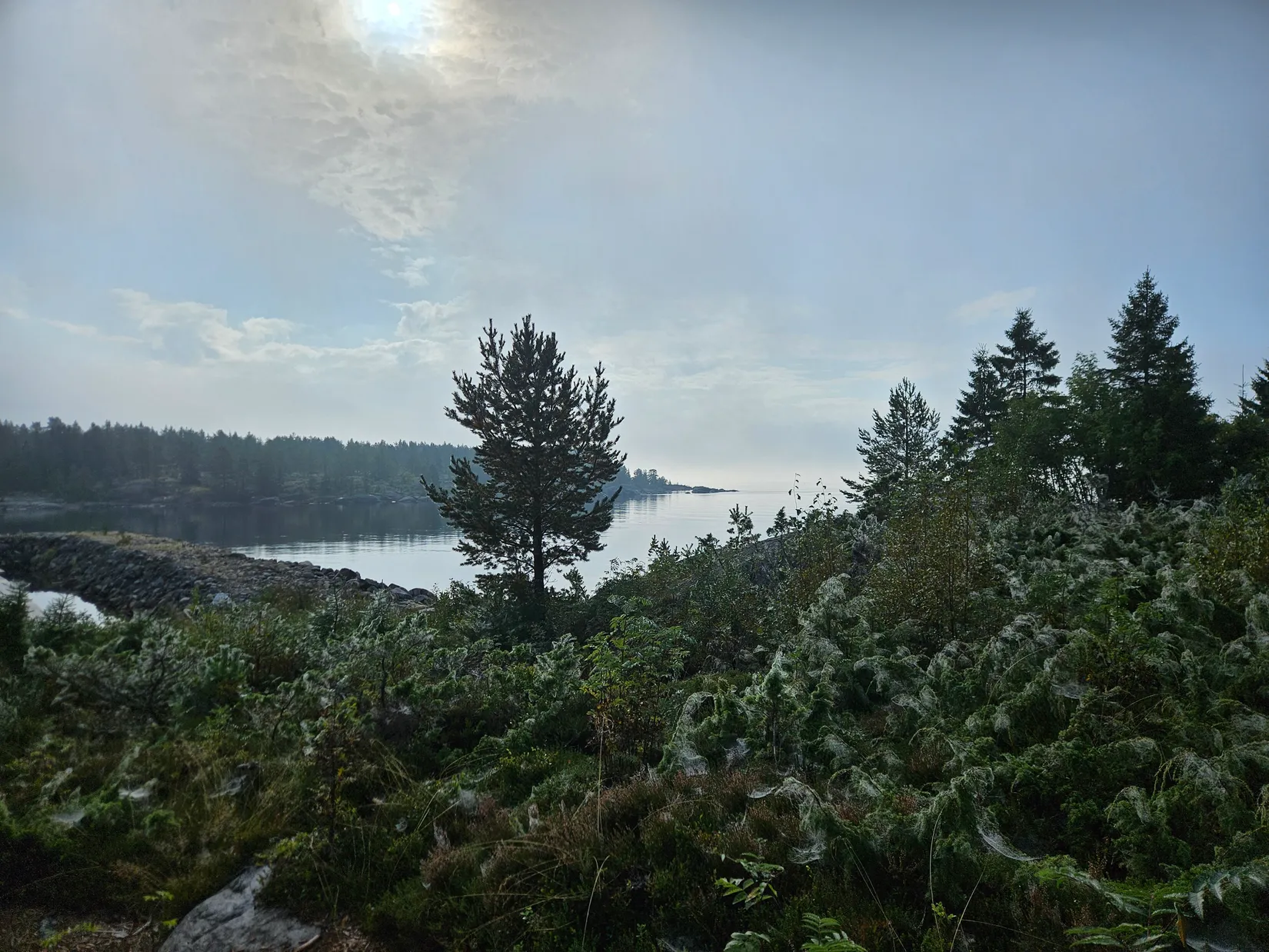 Tomt, Granströms väg 11, Obbola, Umeå