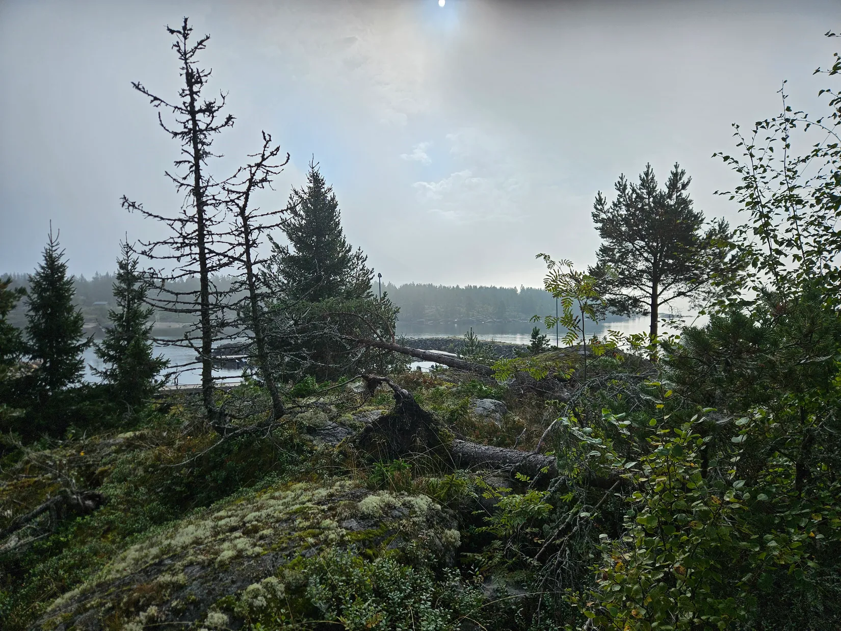 Tomt, Granströms väg 11, Obbola, Umeå