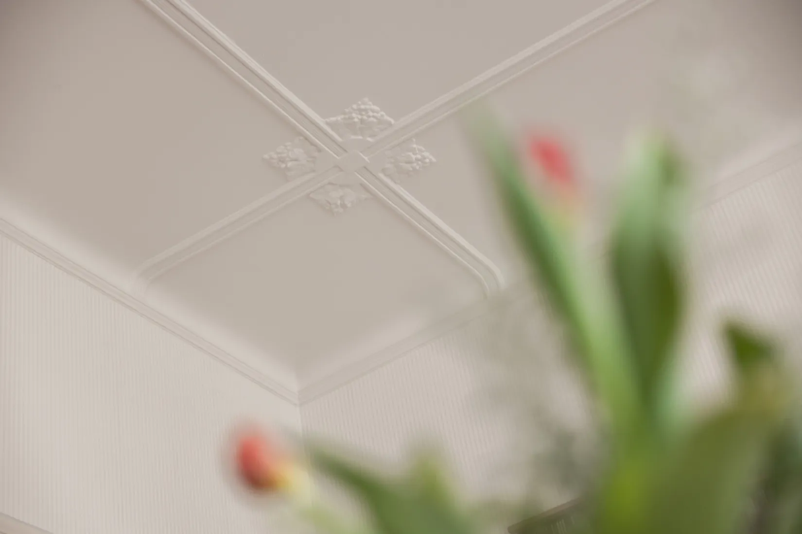 Bostadsrätt, Regementsgatan 74, Slottsstaden/Ribersborg, Malmö